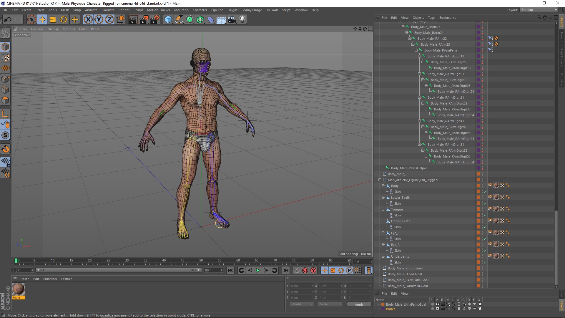 Male Physique Character Rigged for Cinema 4D 3D model