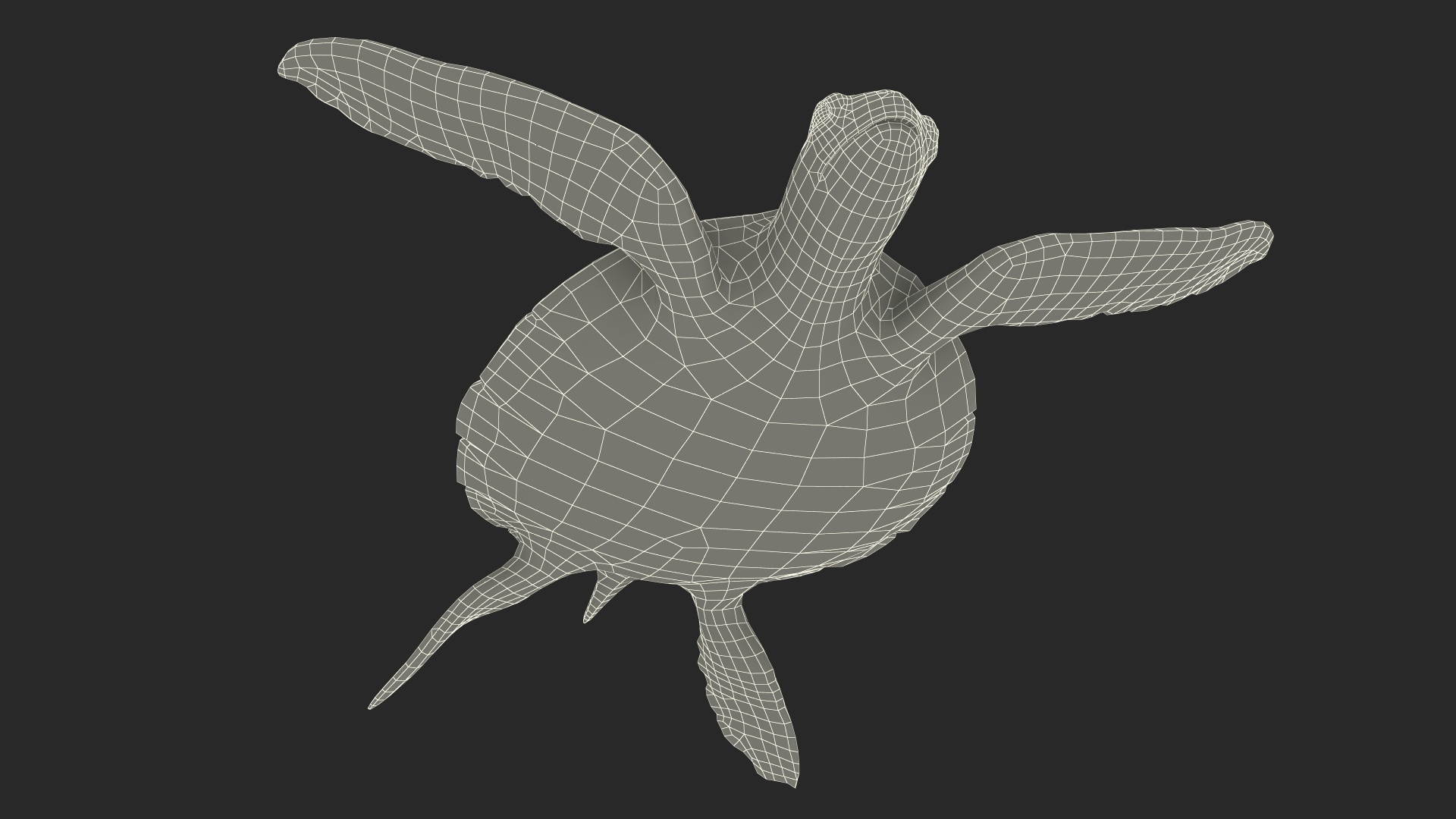 3D model Realistic Sea Turtle
