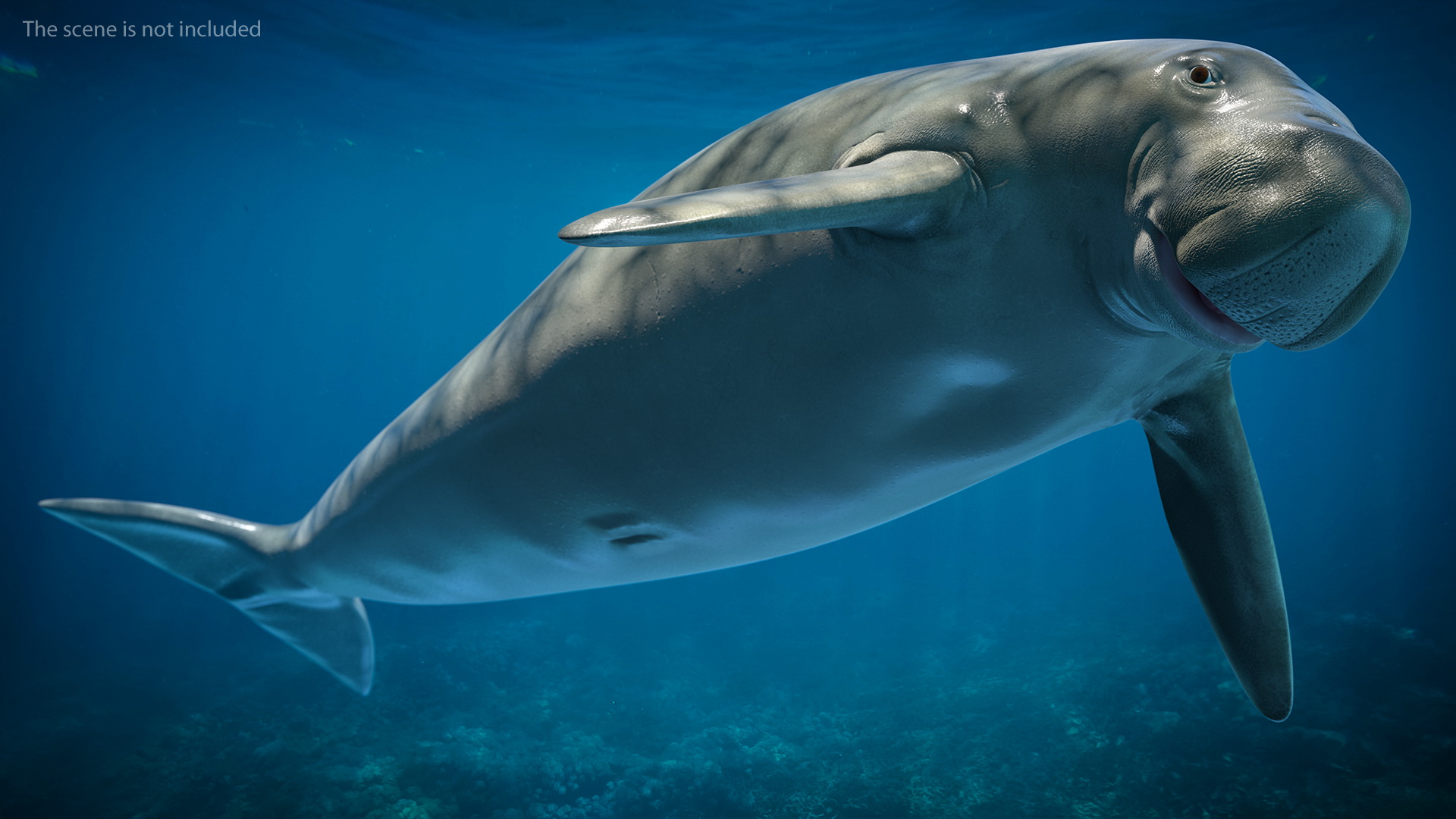 3D Dugong Rigged model