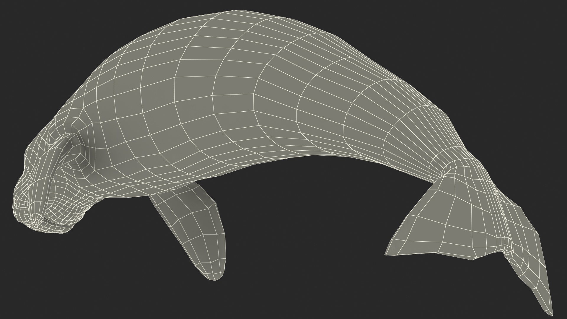 3D Dugong Rigged model