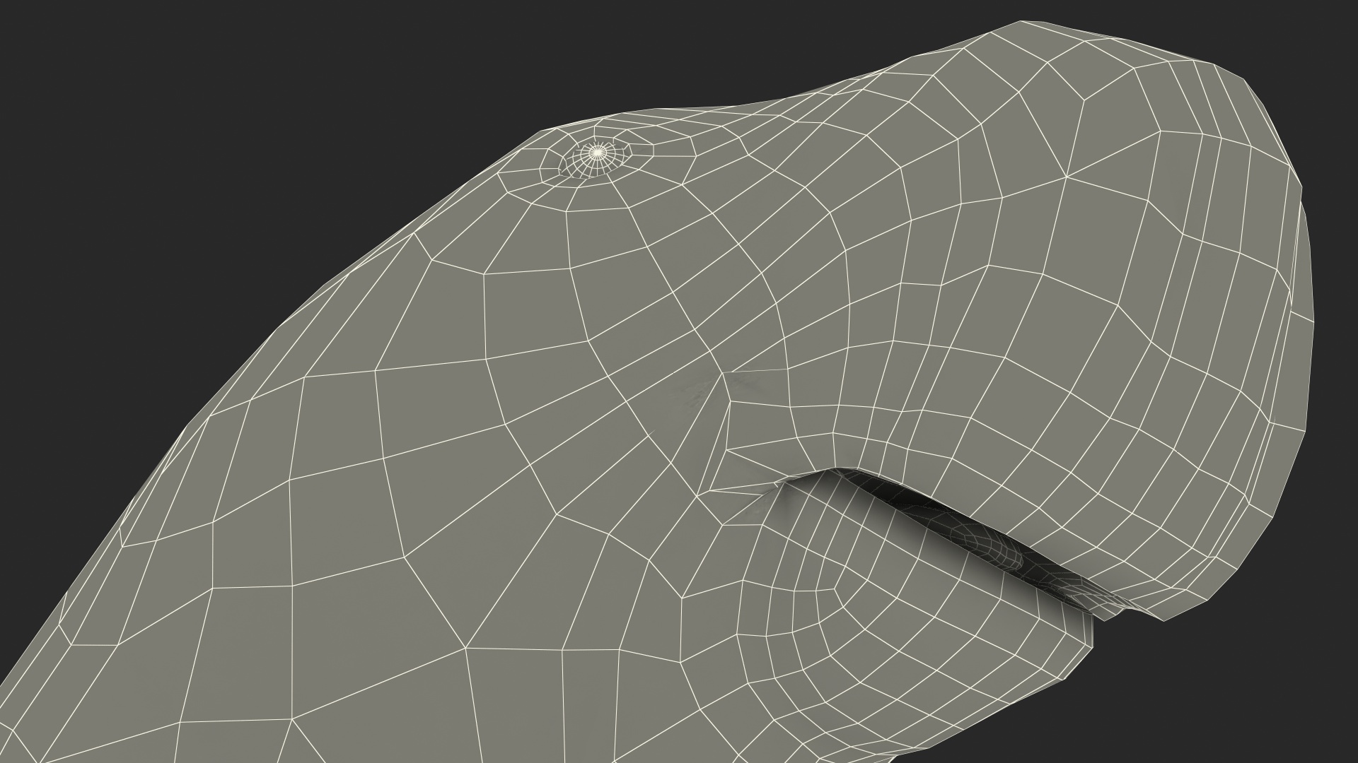 3D Dugong Rigged model