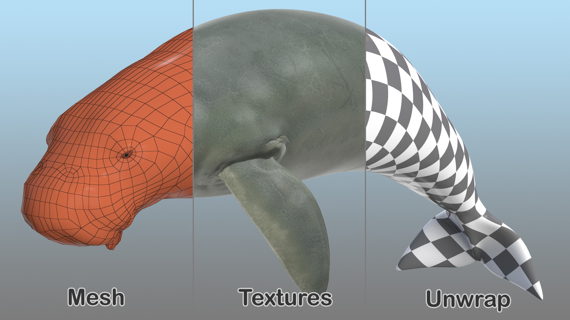3D Dugong Rigged model
