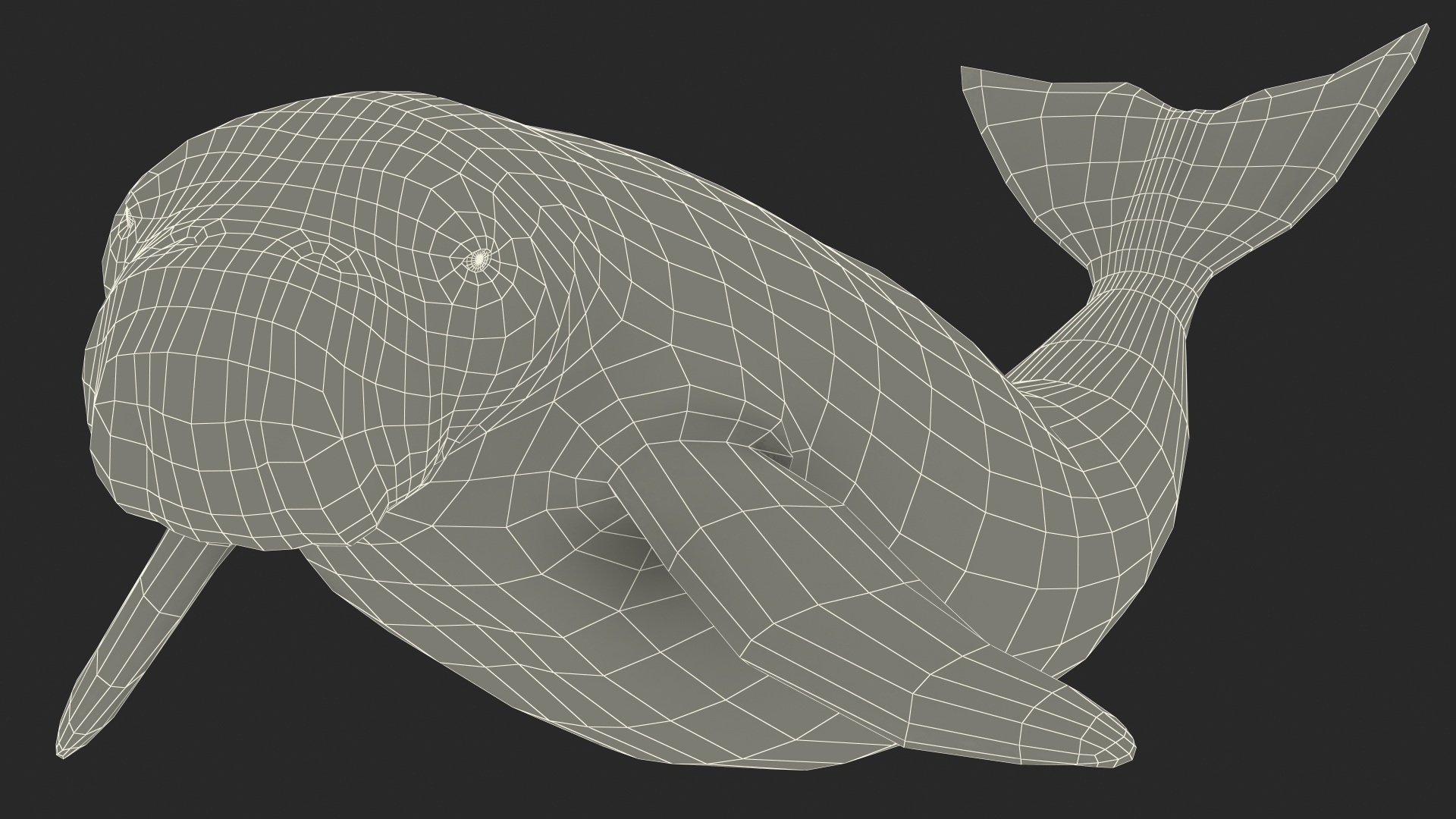 3D Dugong Rigged model