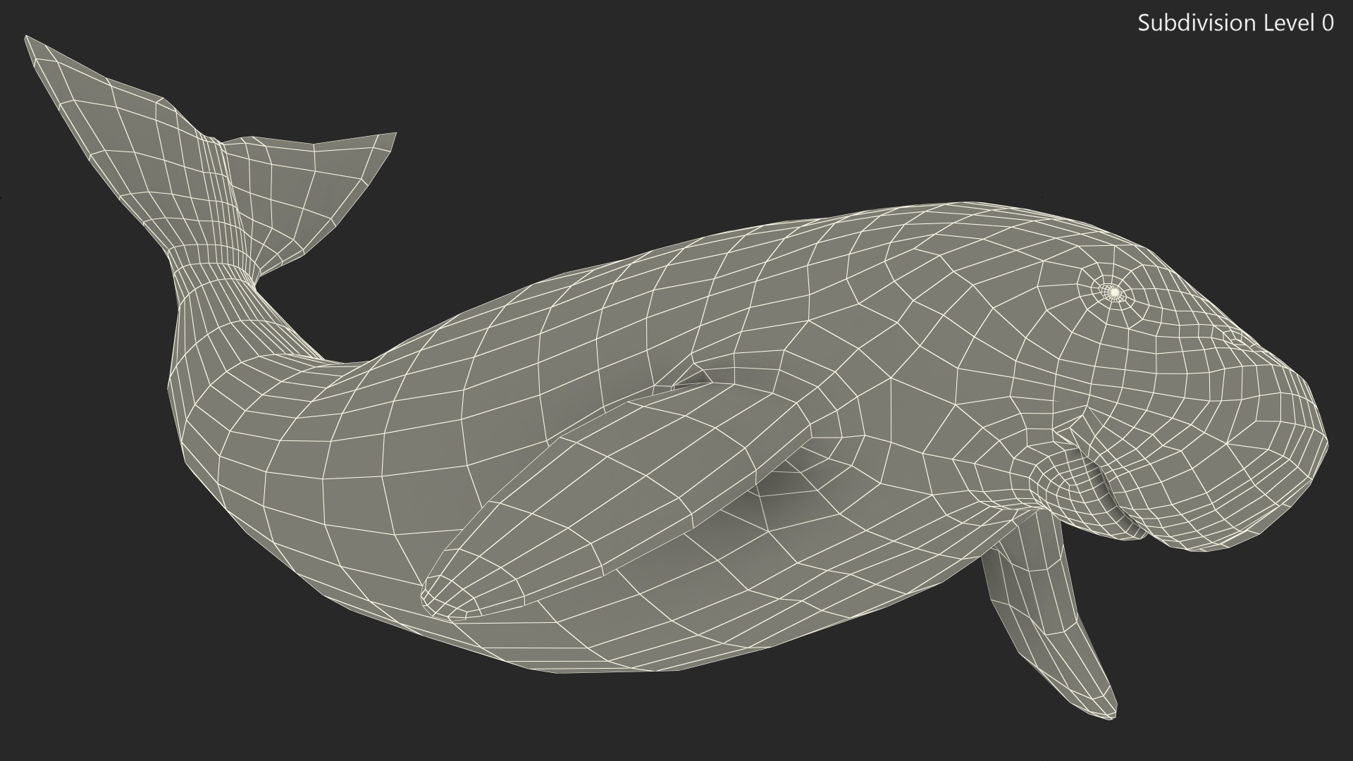 3D Dugong Rigged model
