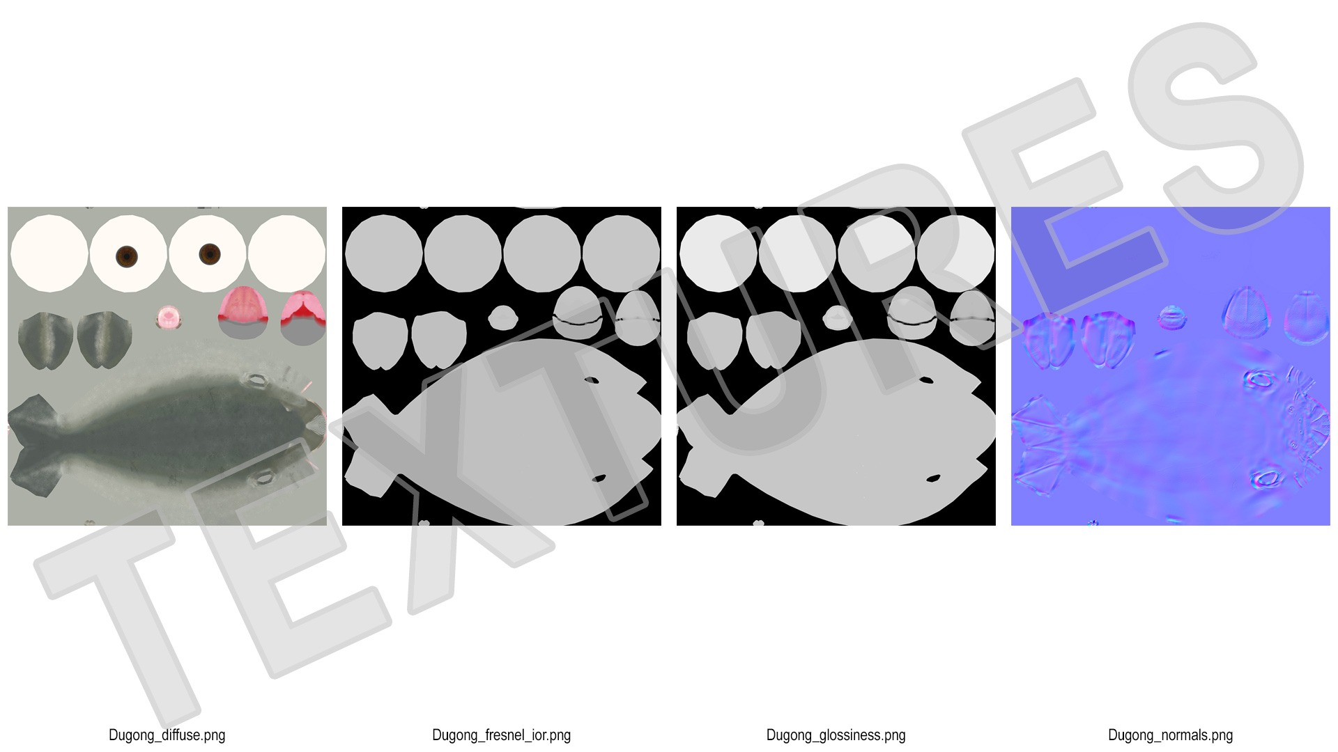 3D Dugong Rigged model