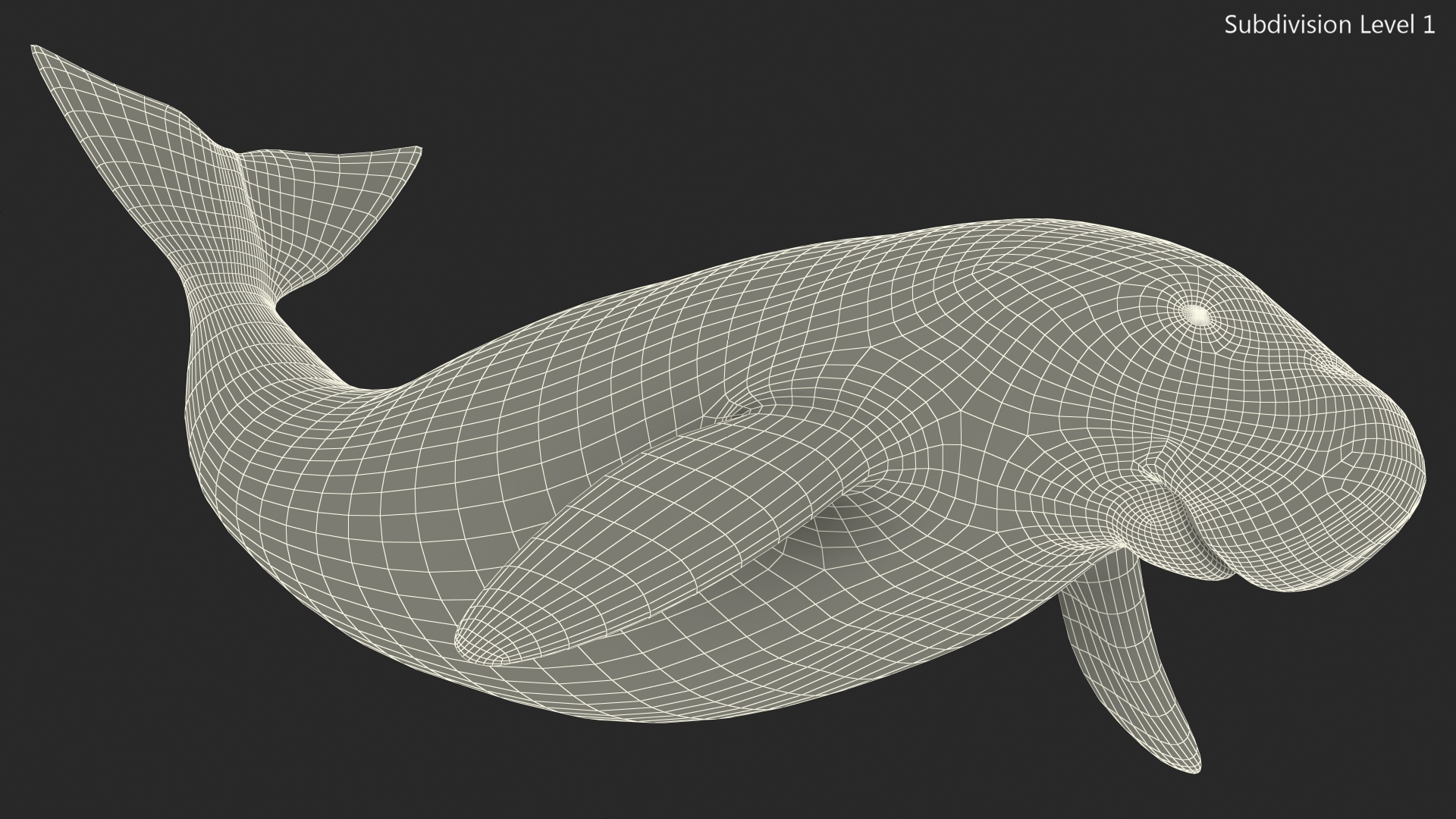 3D Dugong Rigged model