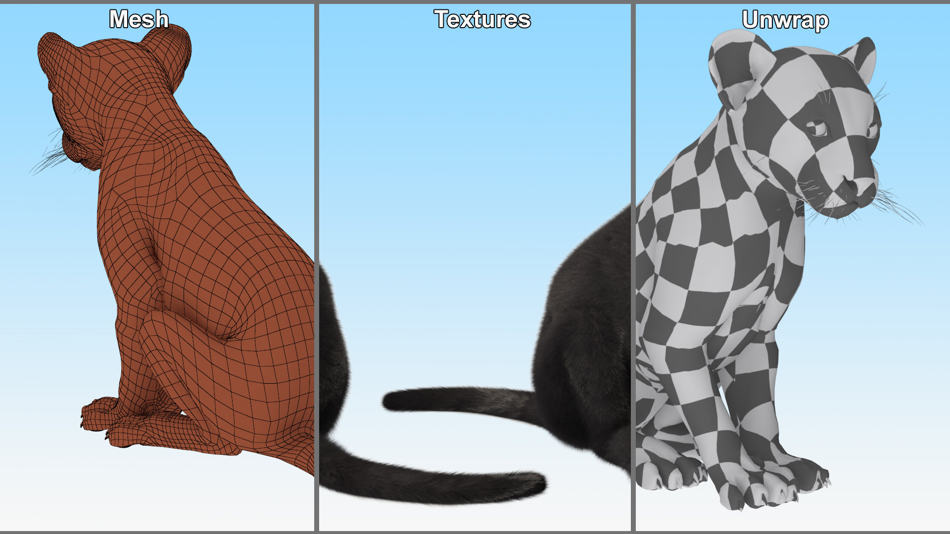 Black Panther Cub Sitting Pose with Fur 3D model