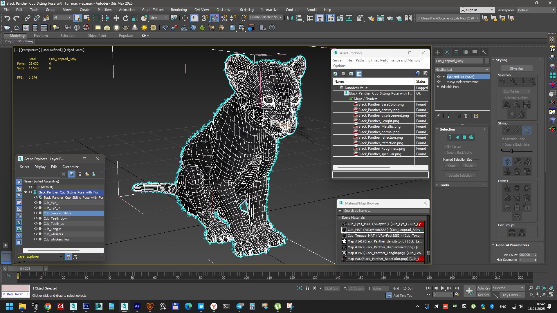 Black Panther Cub Sitting Pose with Fur 3D model