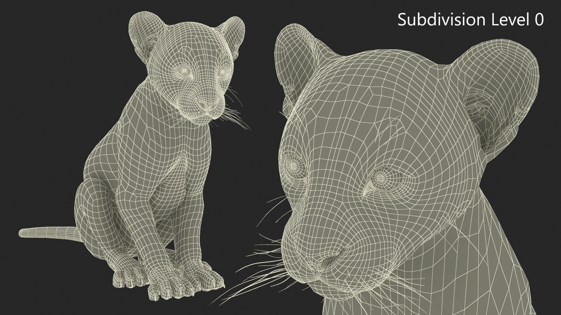 Black Panther Cub Sitting Pose with Fur 3D model