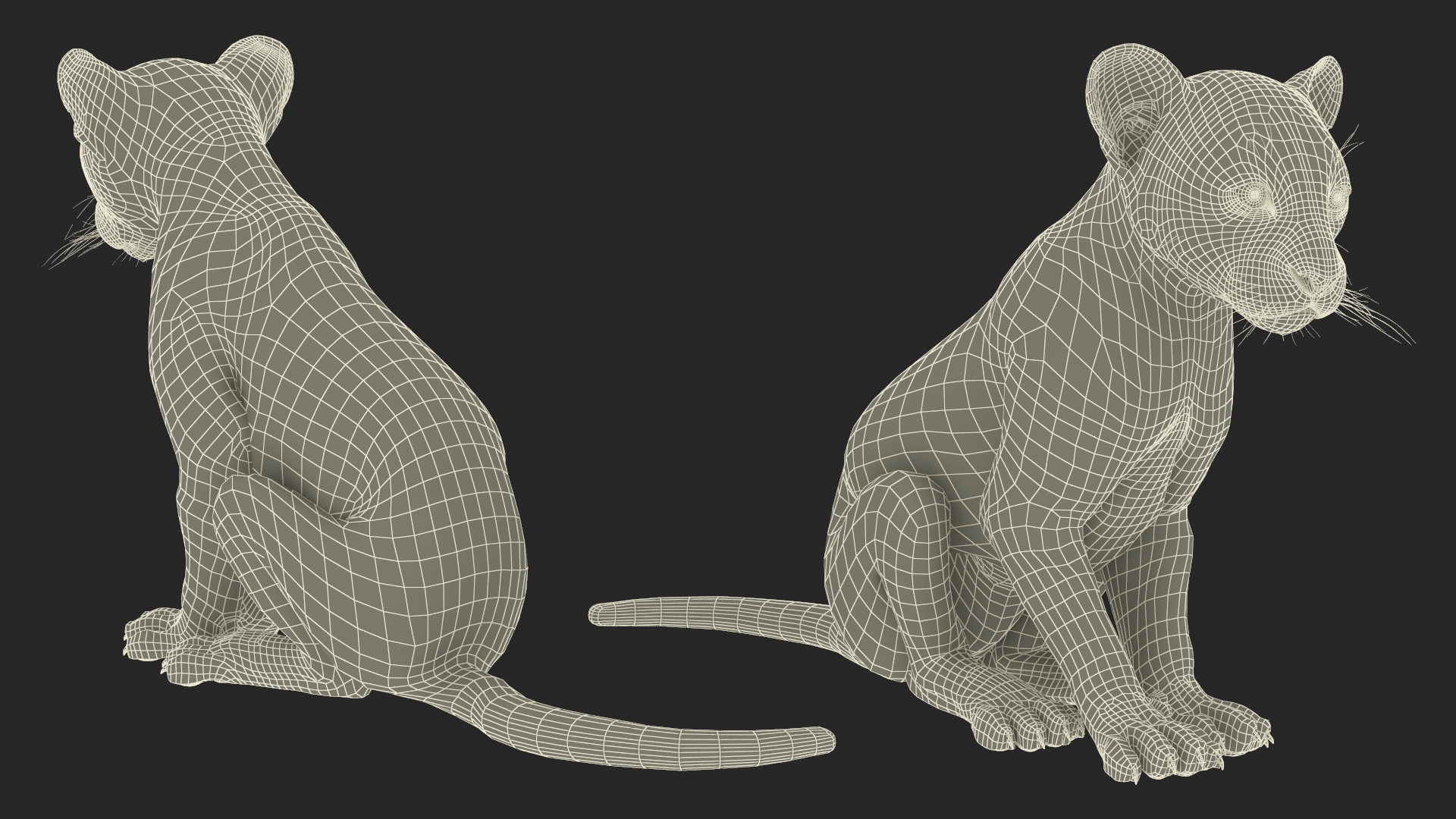 Black Panther Cub Sitting Pose with Fur 3D model
