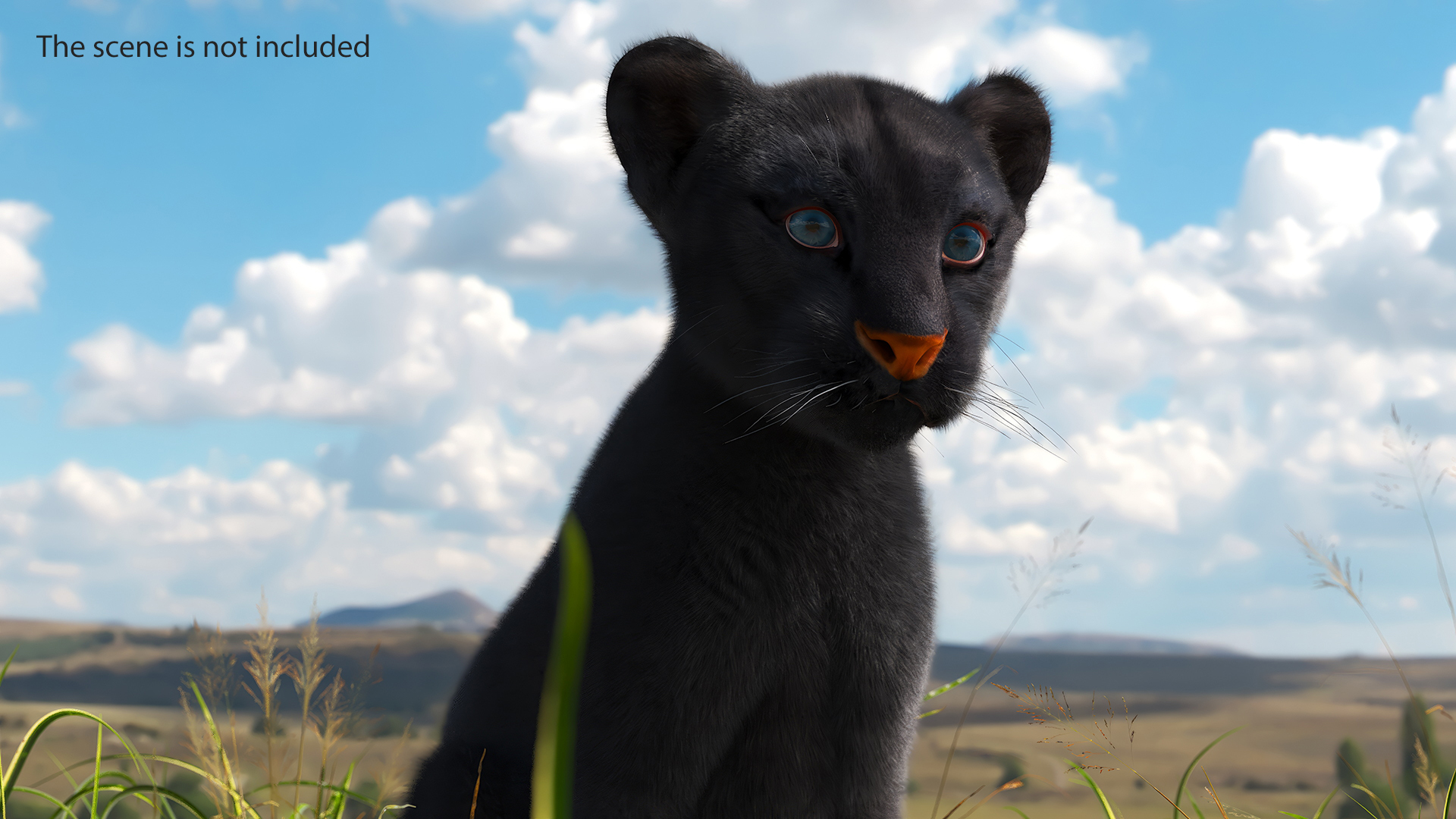 Black Panther Cub Sitting Pose with Fur 3D model