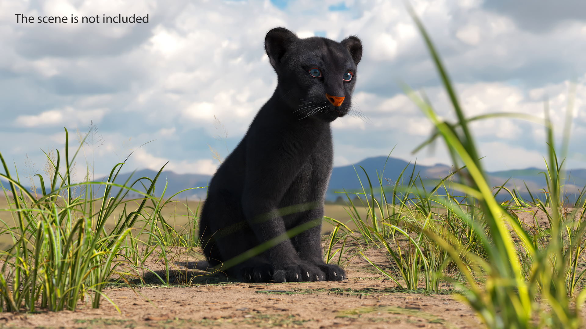 Black Panther Cub Sitting Pose with Fur 3D model