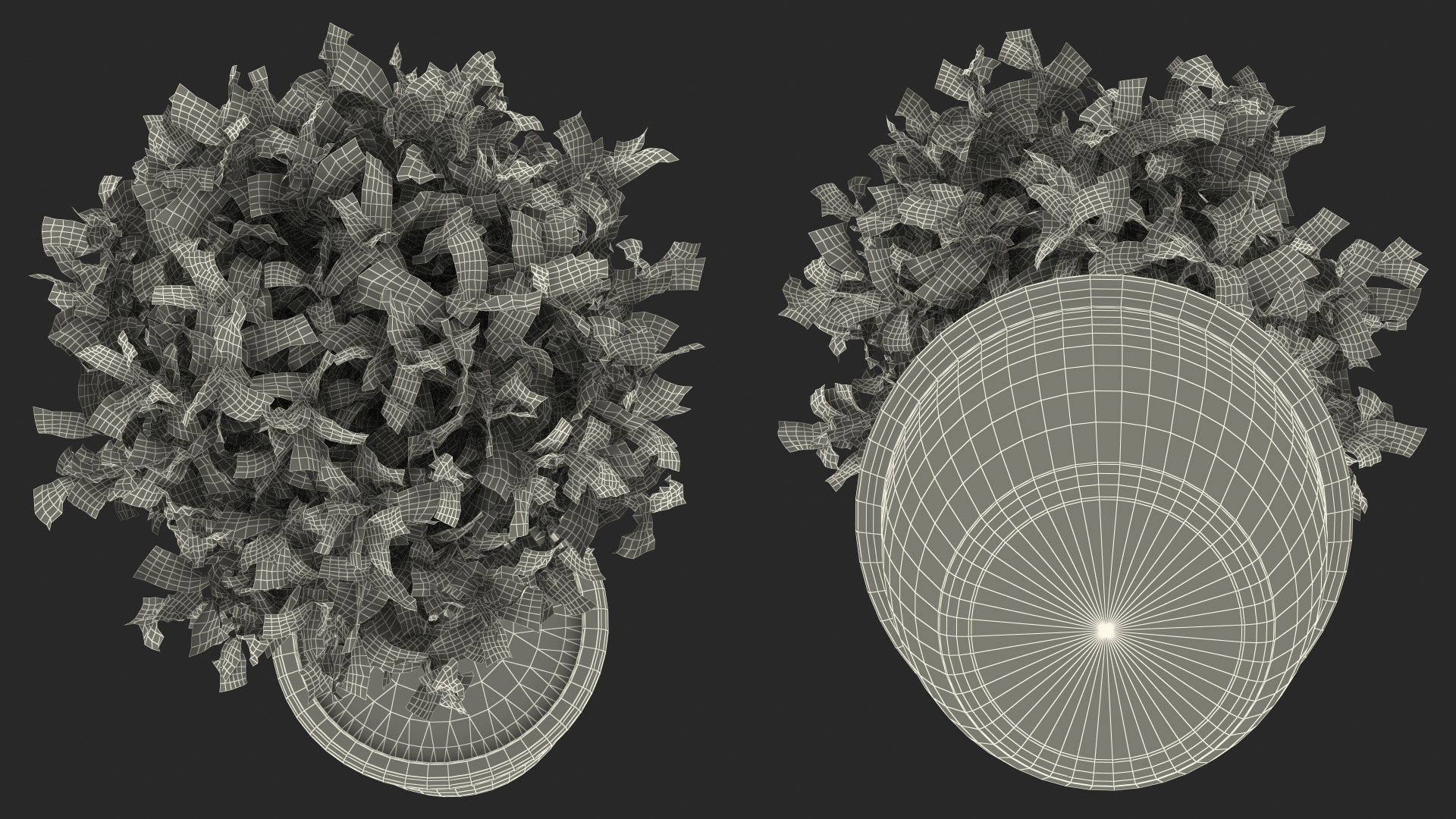 3D model Holly Pot Plant