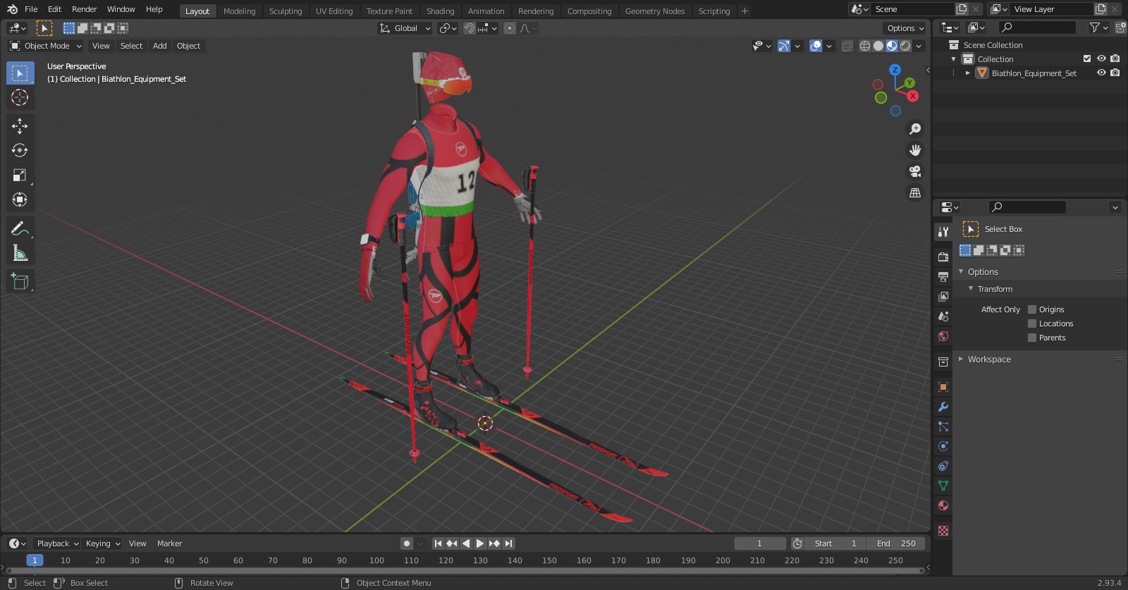 Biathlon Equipment Set 3D