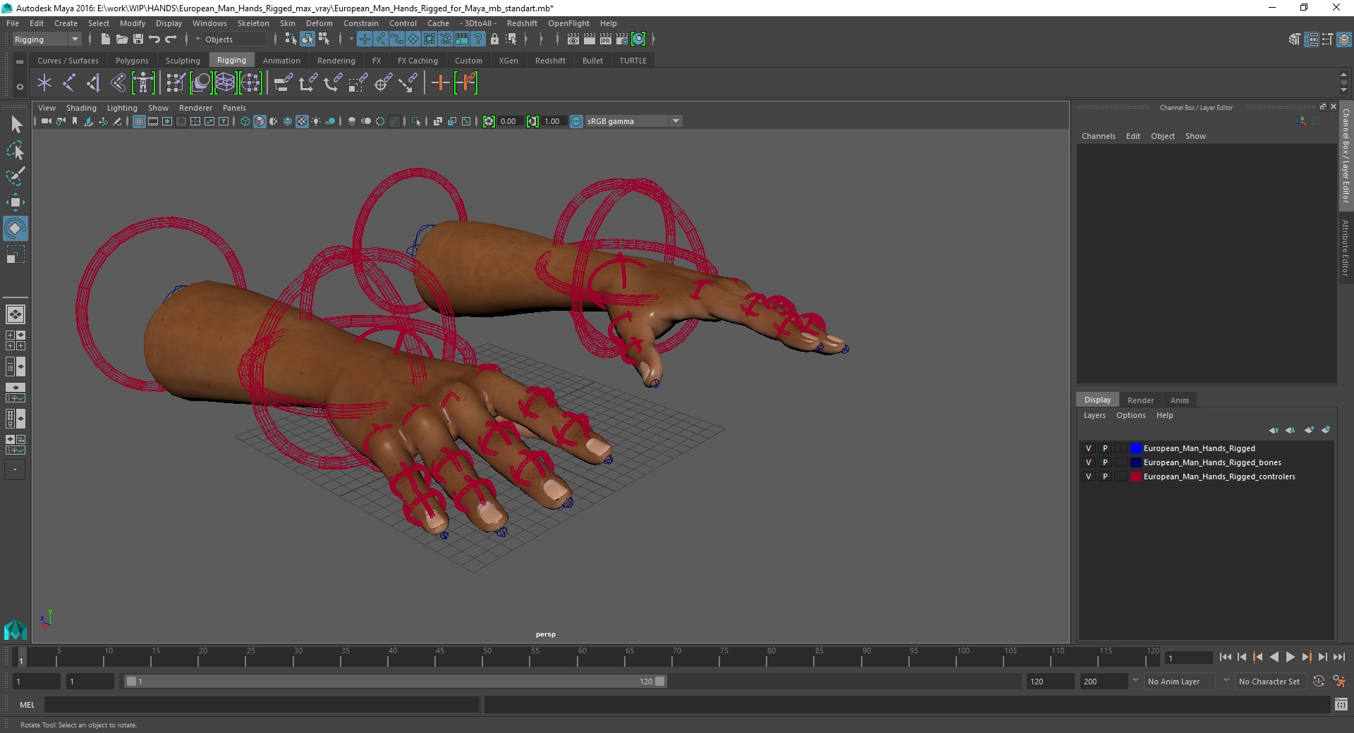 European Man Hands Rigged for Maya 3D model