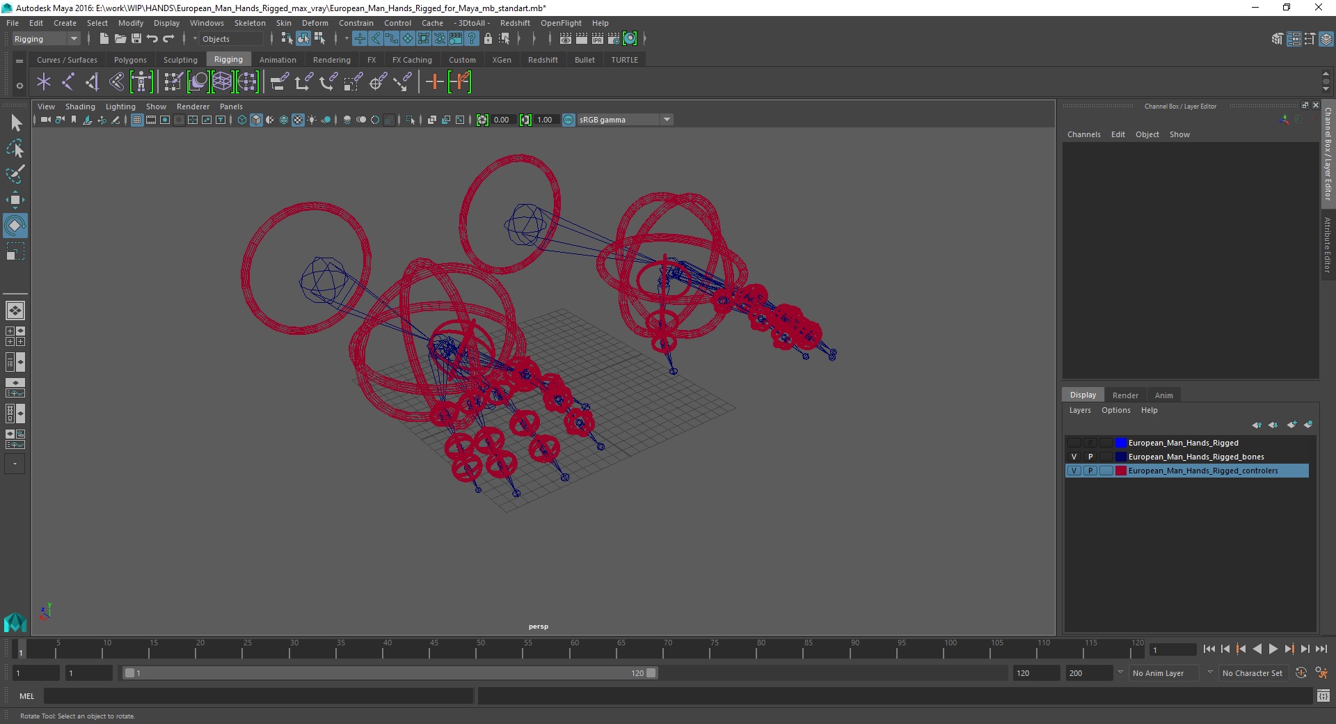 European Man Hands Rigged for Maya 3D model