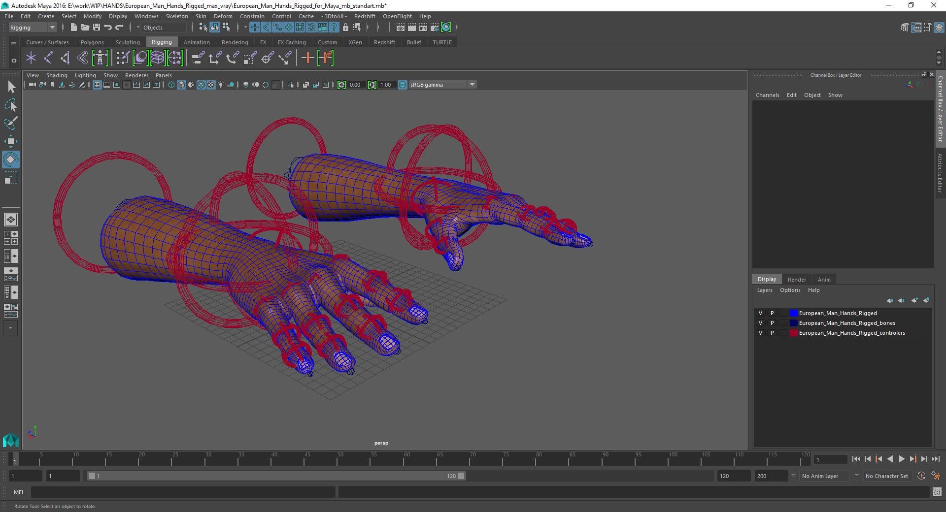 European Man Hands Rigged for Maya 3D model