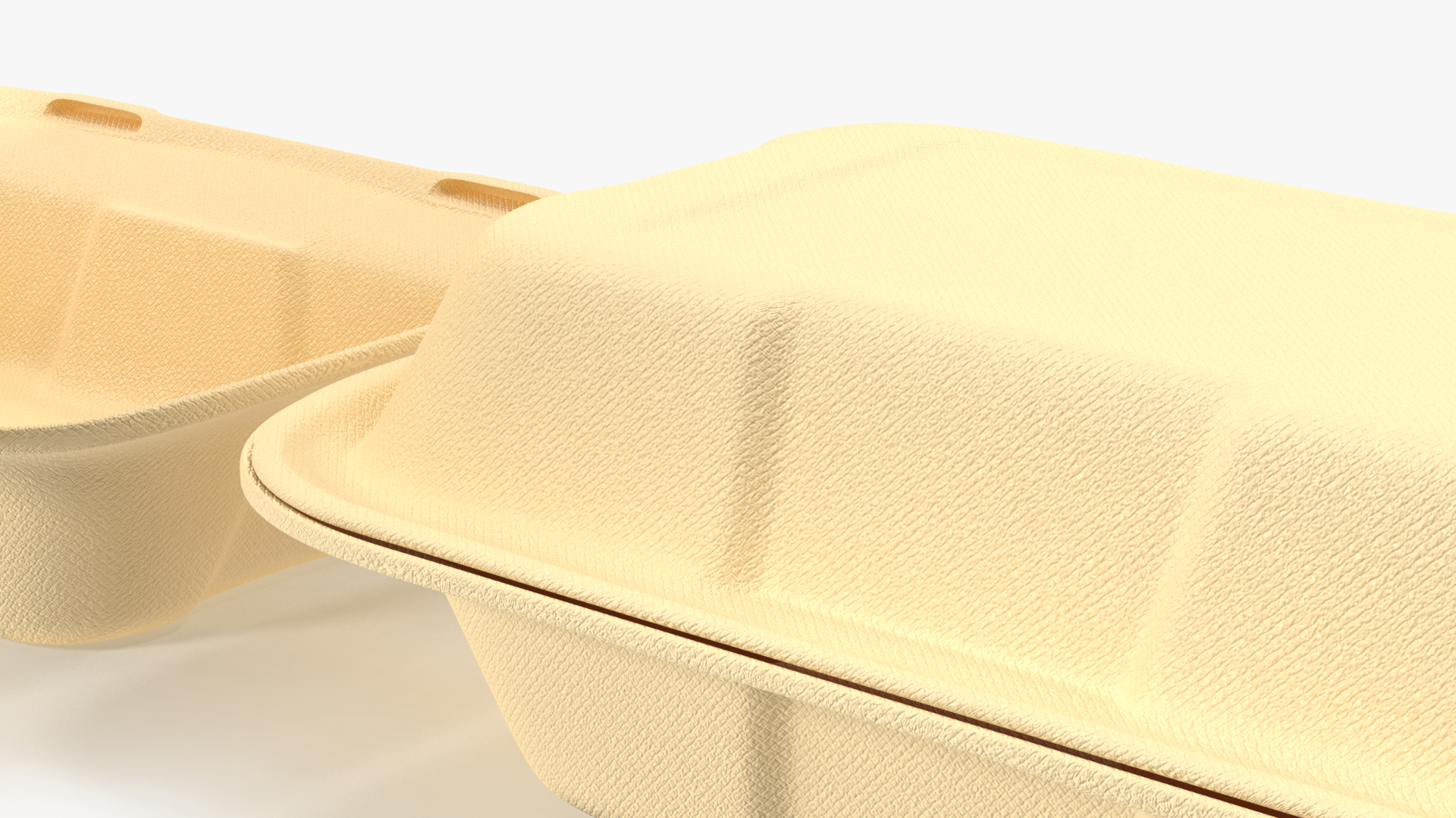 3D Bagasse Container Set