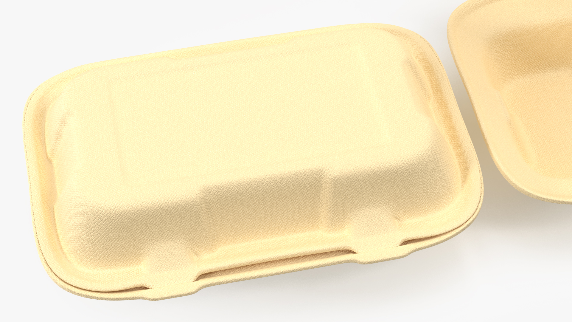 3D Bagasse Container Set