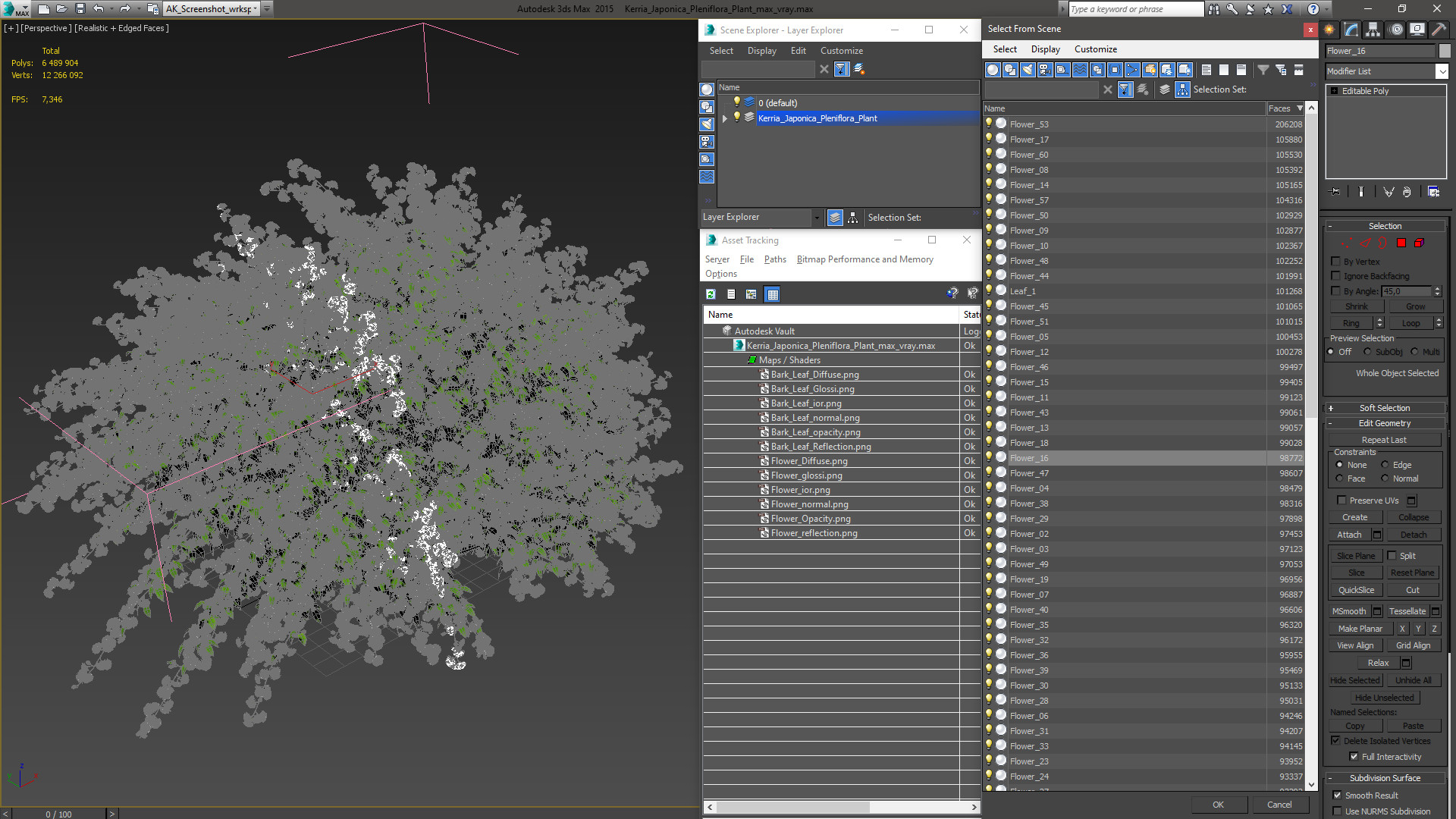 Kerria Japonica Pleniflora Plant 3D