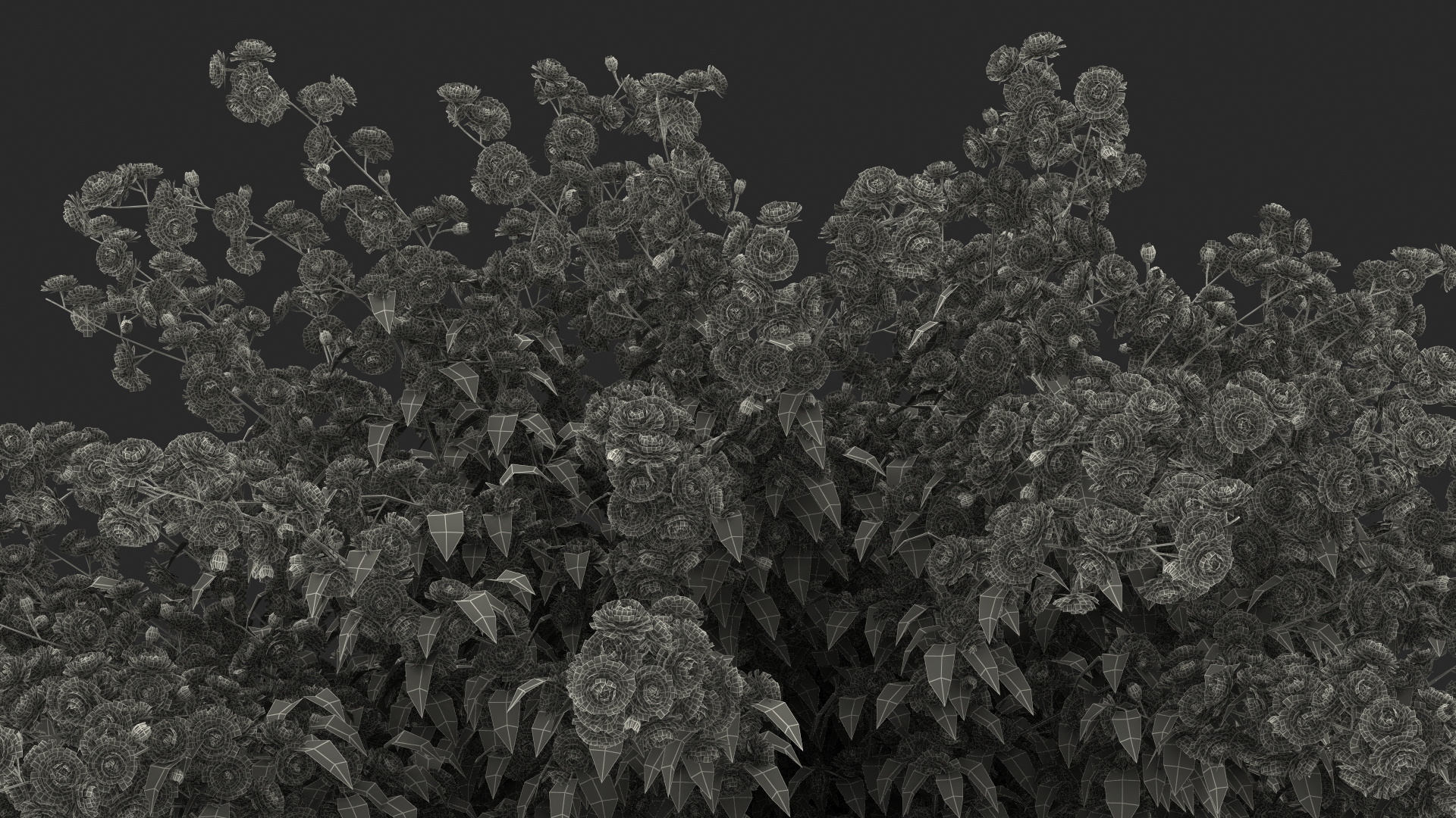 Kerria Japonica Pleniflora Plant 3D