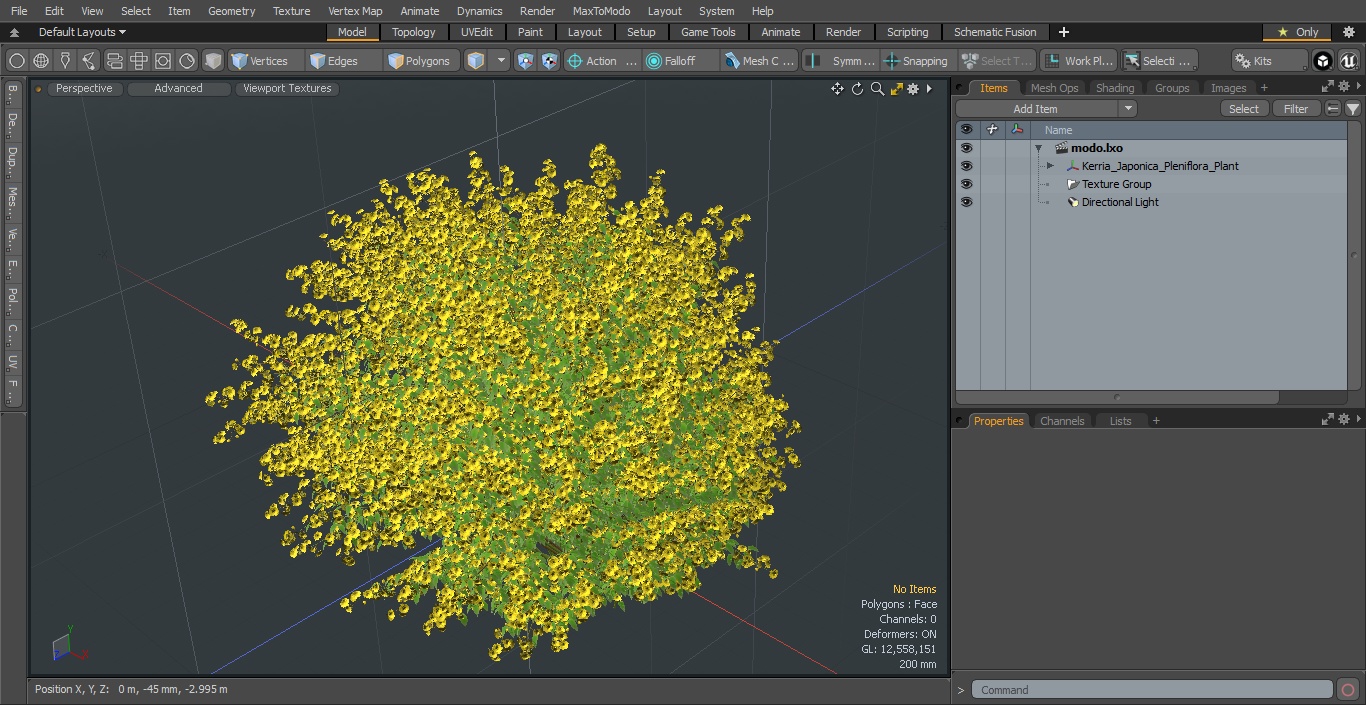 Kerria Japonica Pleniflora Plant 3D