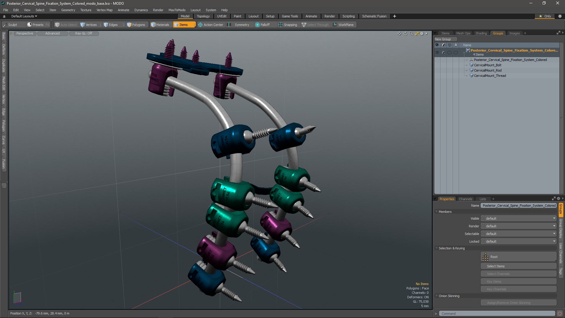 3D Posterior Cervical Spine Fixation System Colored model