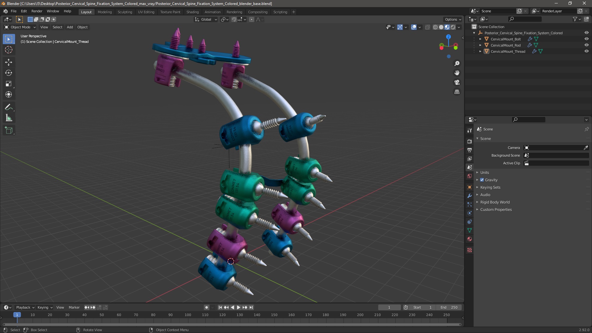 3D Posterior Cervical Spine Fixation System Colored model