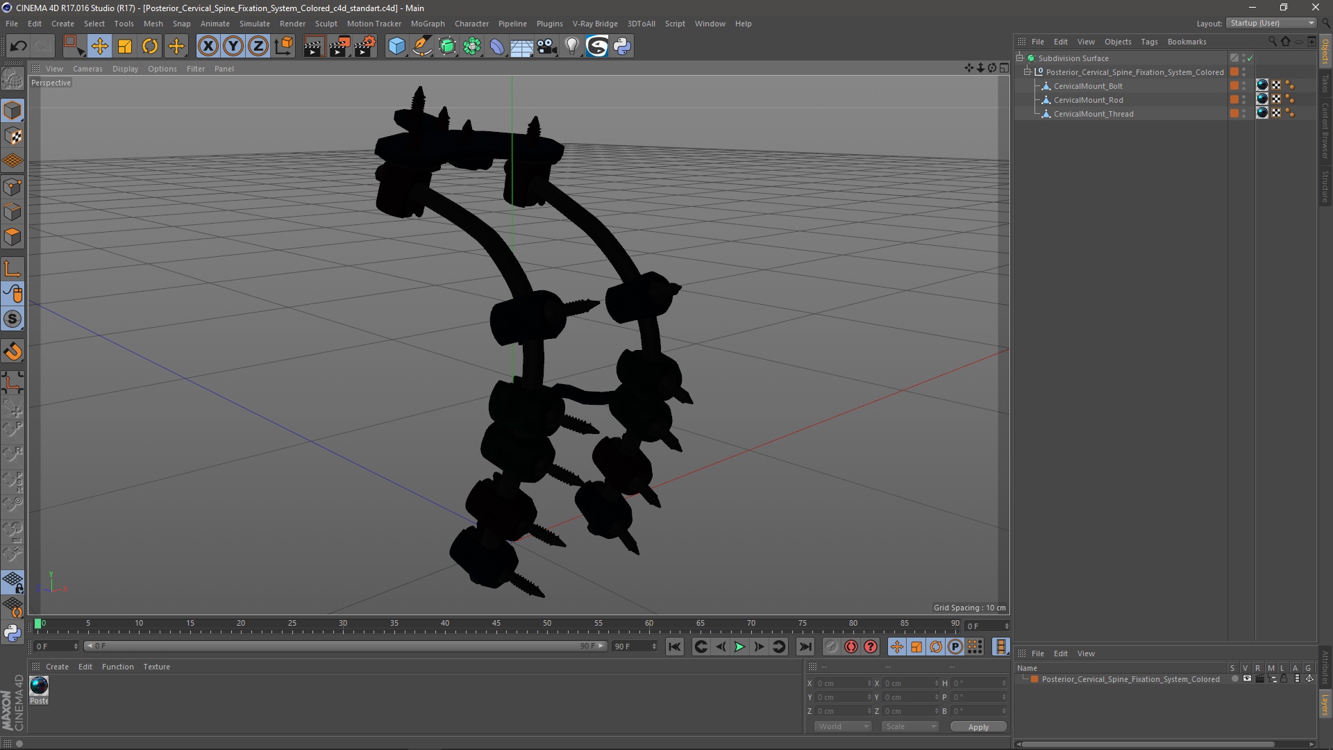 3D Posterior Cervical Spine Fixation System Colored model