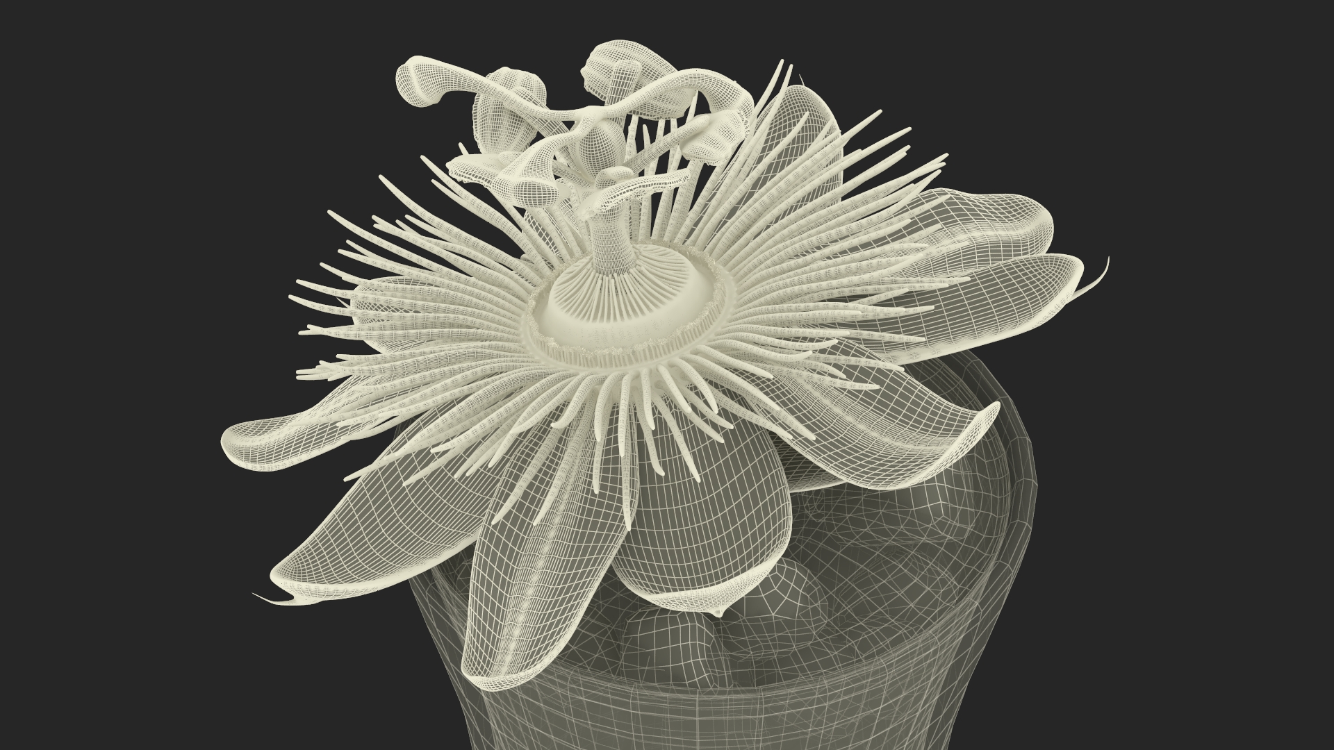 3D Cocktail Garnished with Passion Fruit and Passion Flower