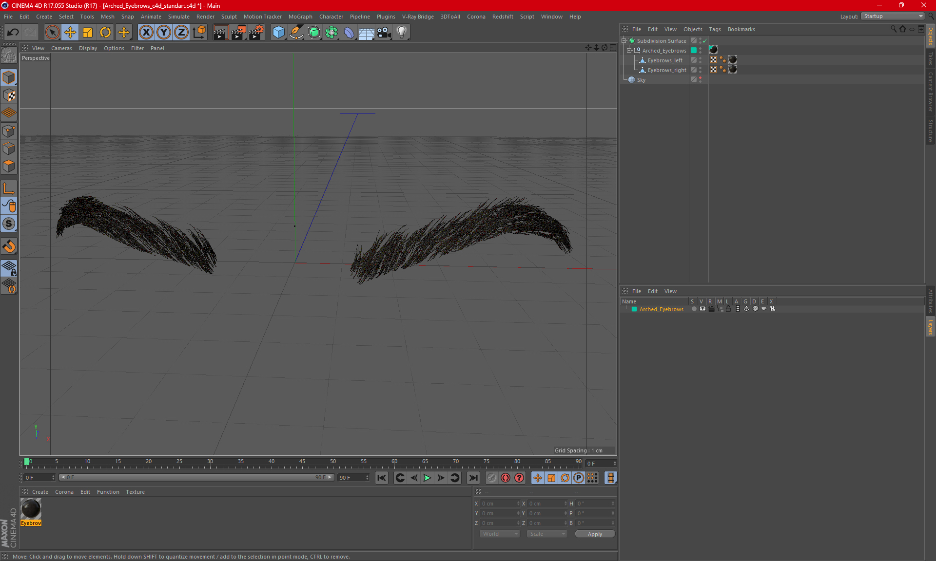 3D model Arched Eyebrows
