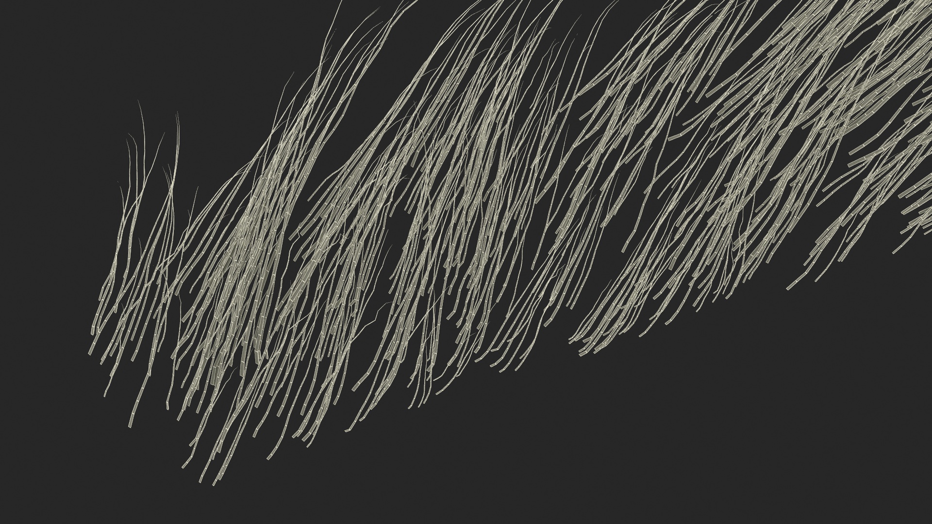 3D model Arched Eyebrows