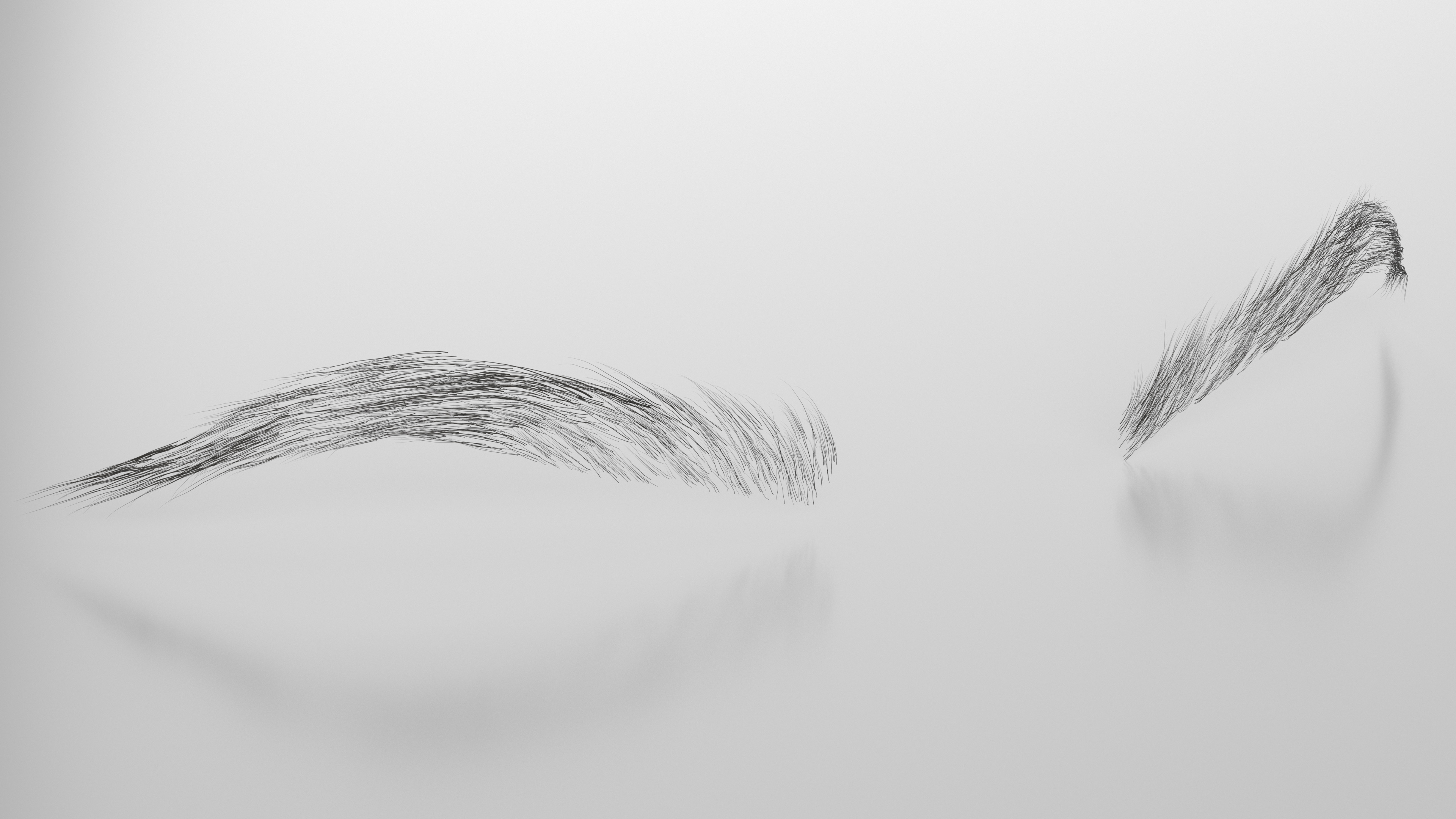 3D model Arched Eyebrows