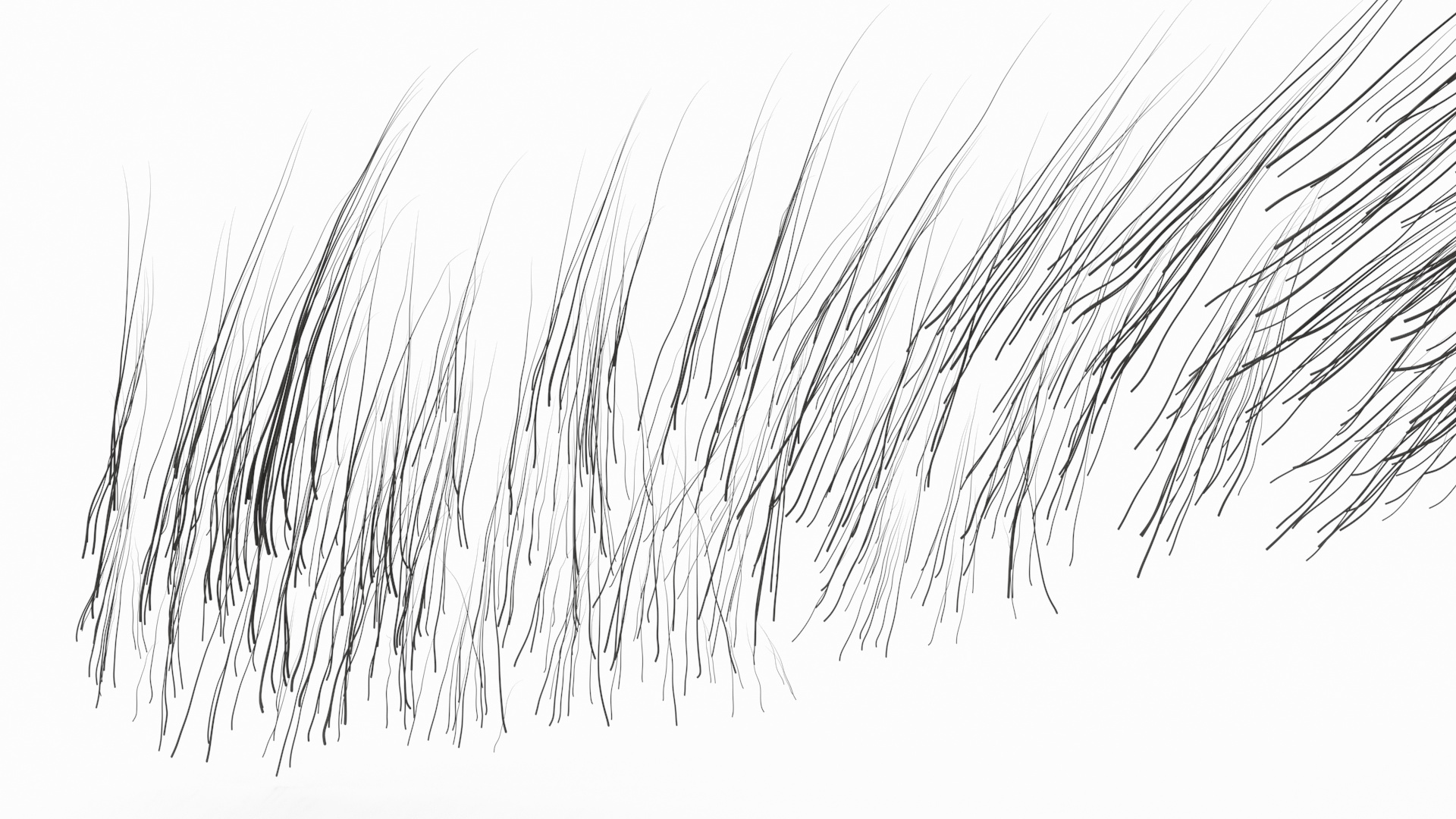 S Shaped Eyebrows 3D