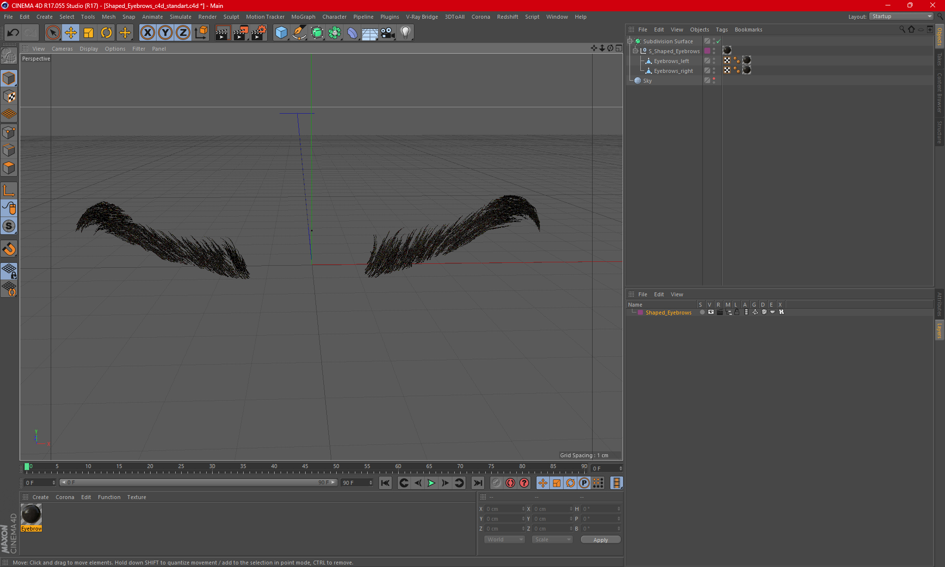 S Shaped Eyebrows 3D