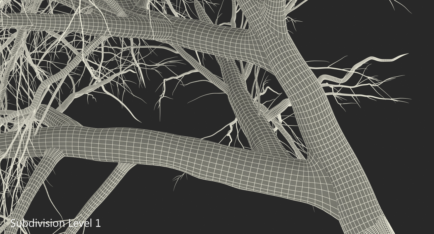 3D Winter Pear Tree