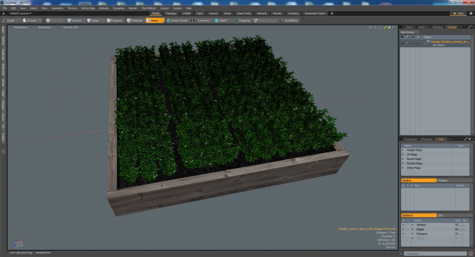 Young Parsley Grows in Rows 3D