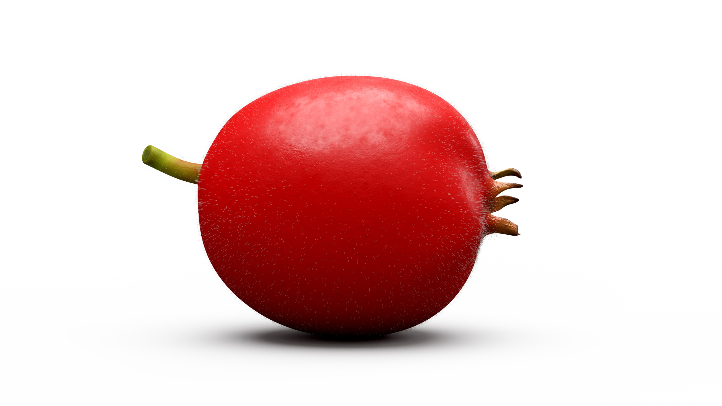 3D Hawthorn Berry Fur model