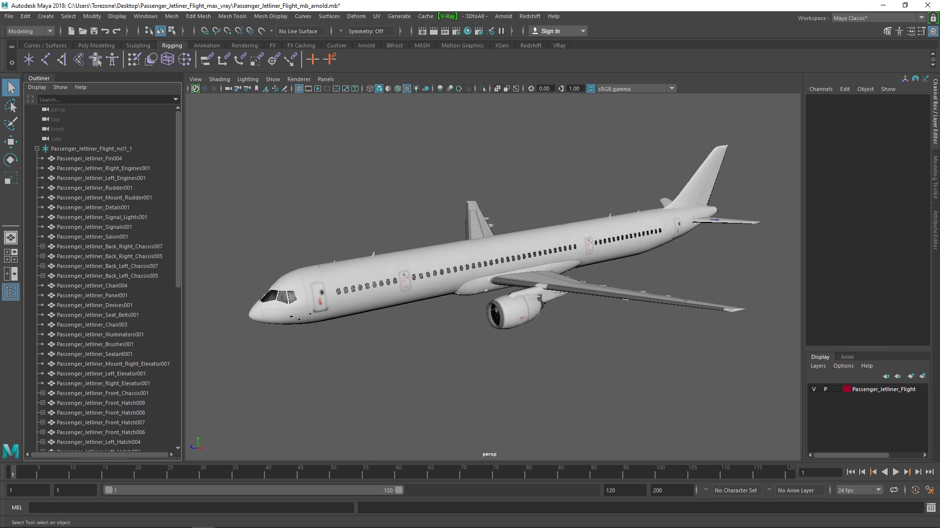 3D model Passenger Jetliner Flight