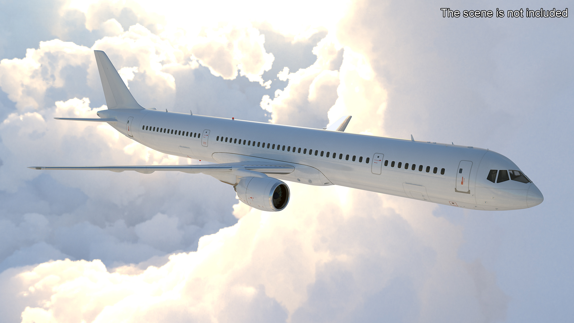 3D model Passenger Jetliner Flight
