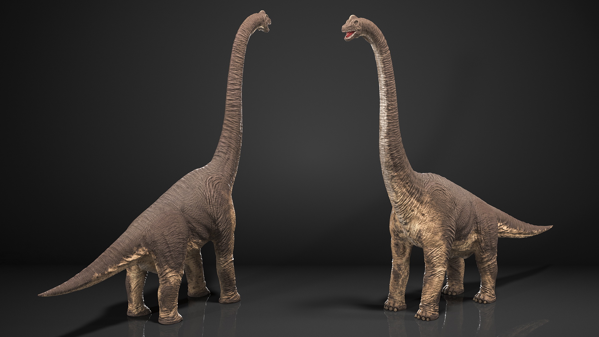 3D Brachiosaurus Altithorax Rigged