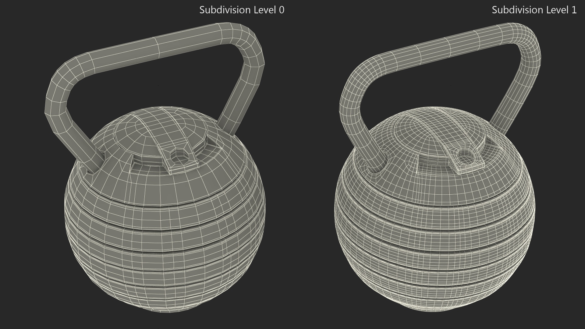 3D Adjustable Kettlebell Gray