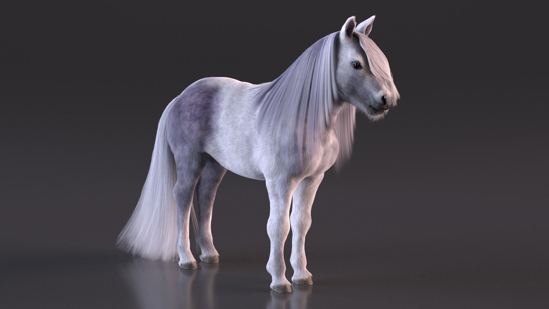 White Pony with Long Mane Fur 3D model