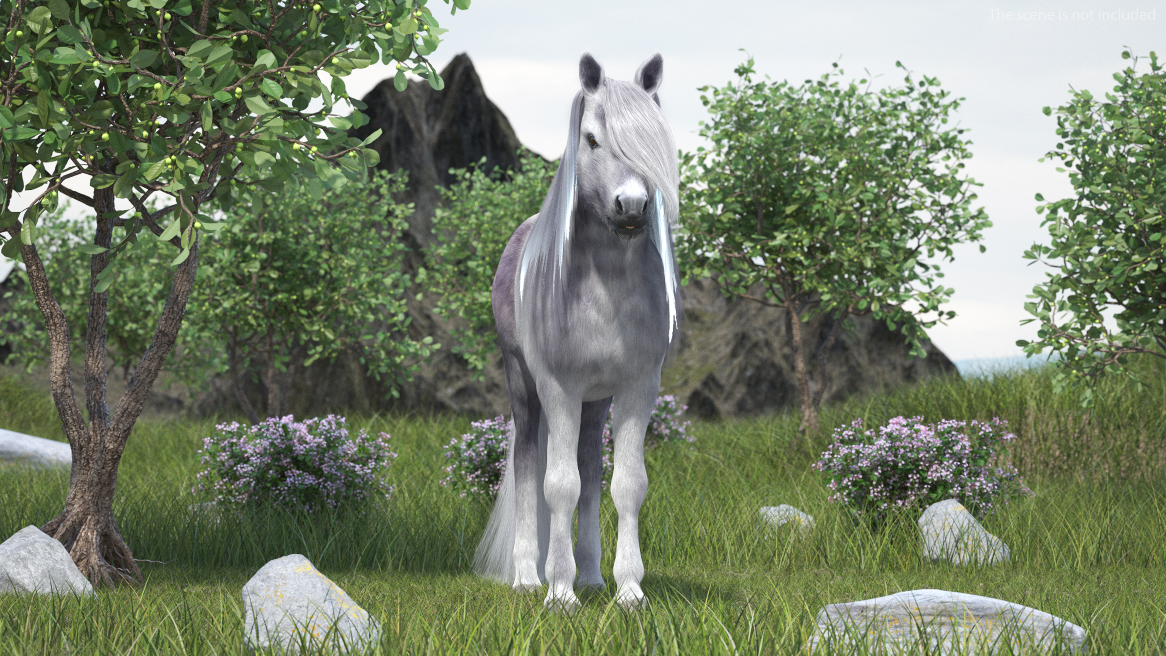 White Pony with Long Mane Fur 3D model