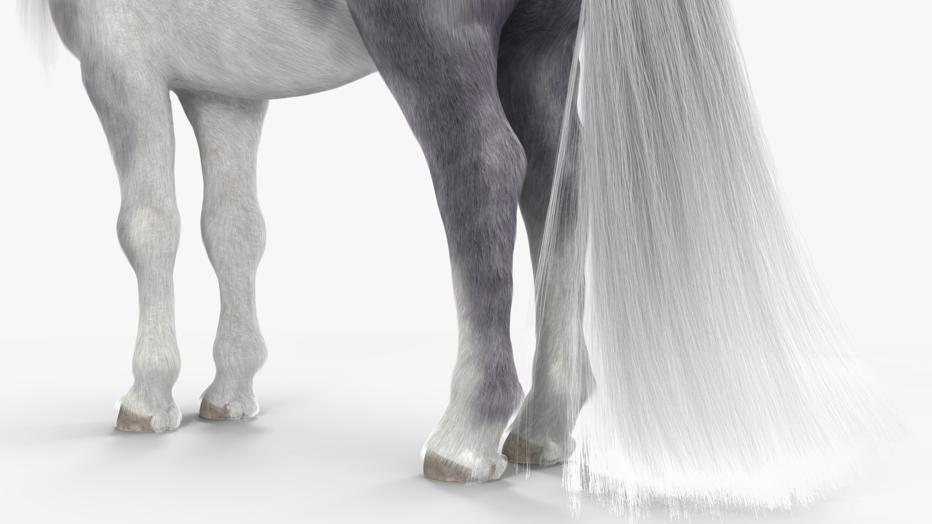 White Pony with Long Mane Fur 3D model