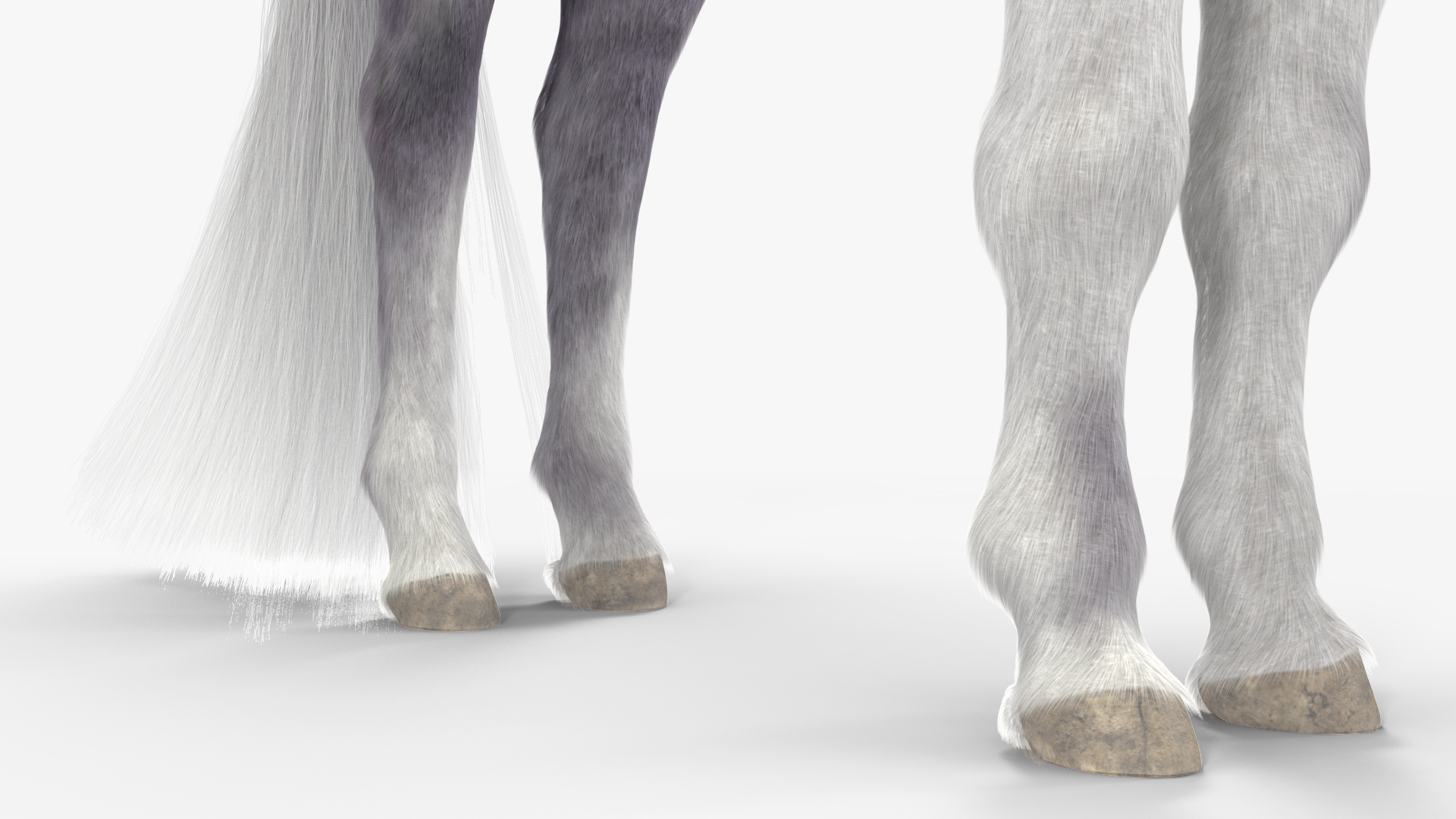 White Pony with Long Mane Fur 3D model