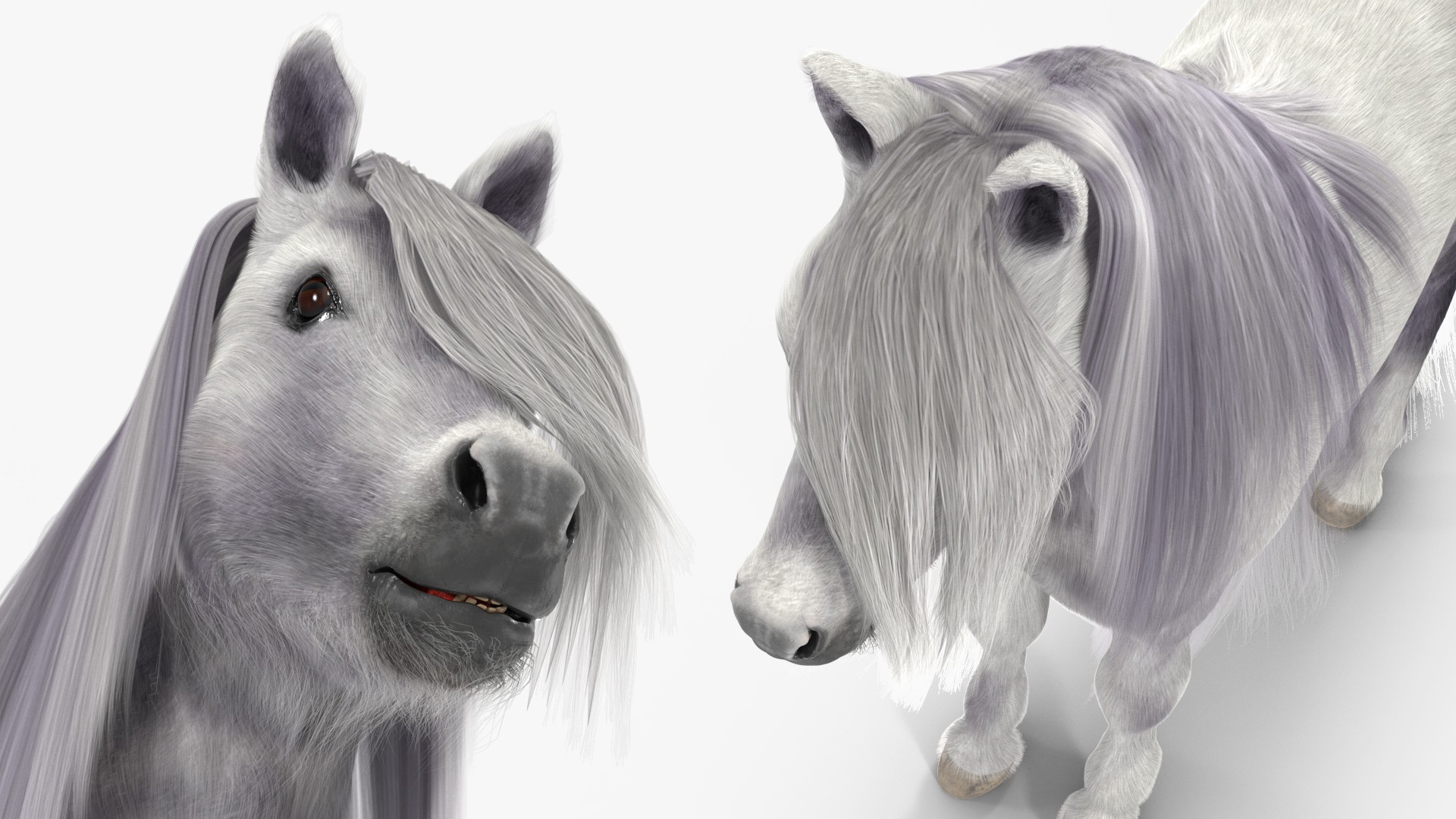 White Pony with Long Mane Fur 3D model