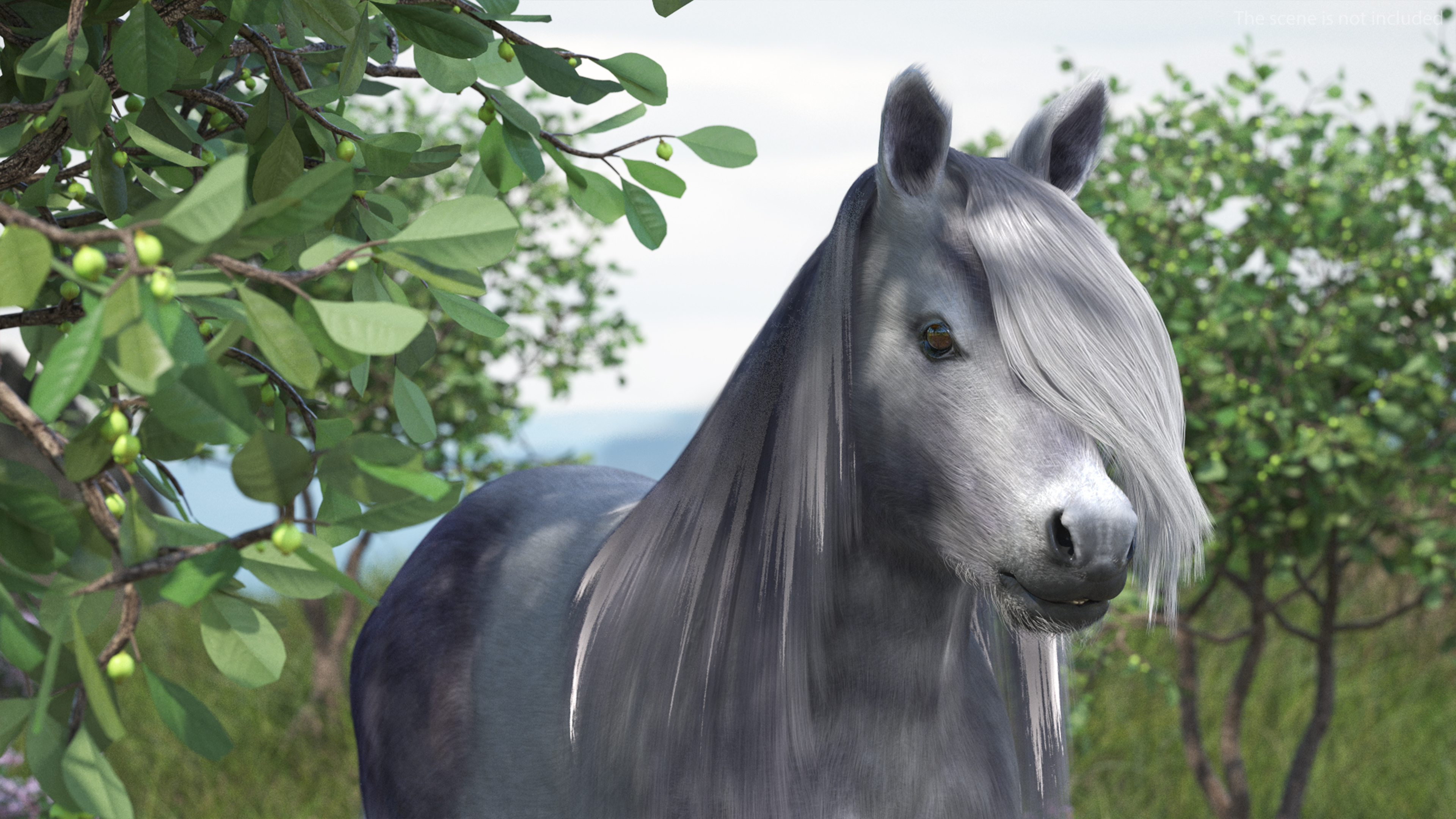 White Pony with Long Mane Fur 3D model