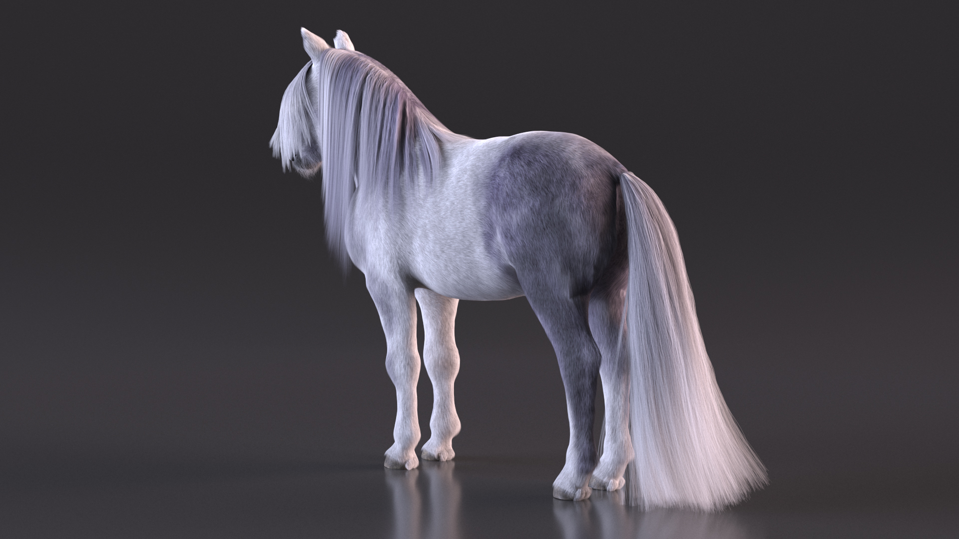White Pony with Long Mane Fur 3D model