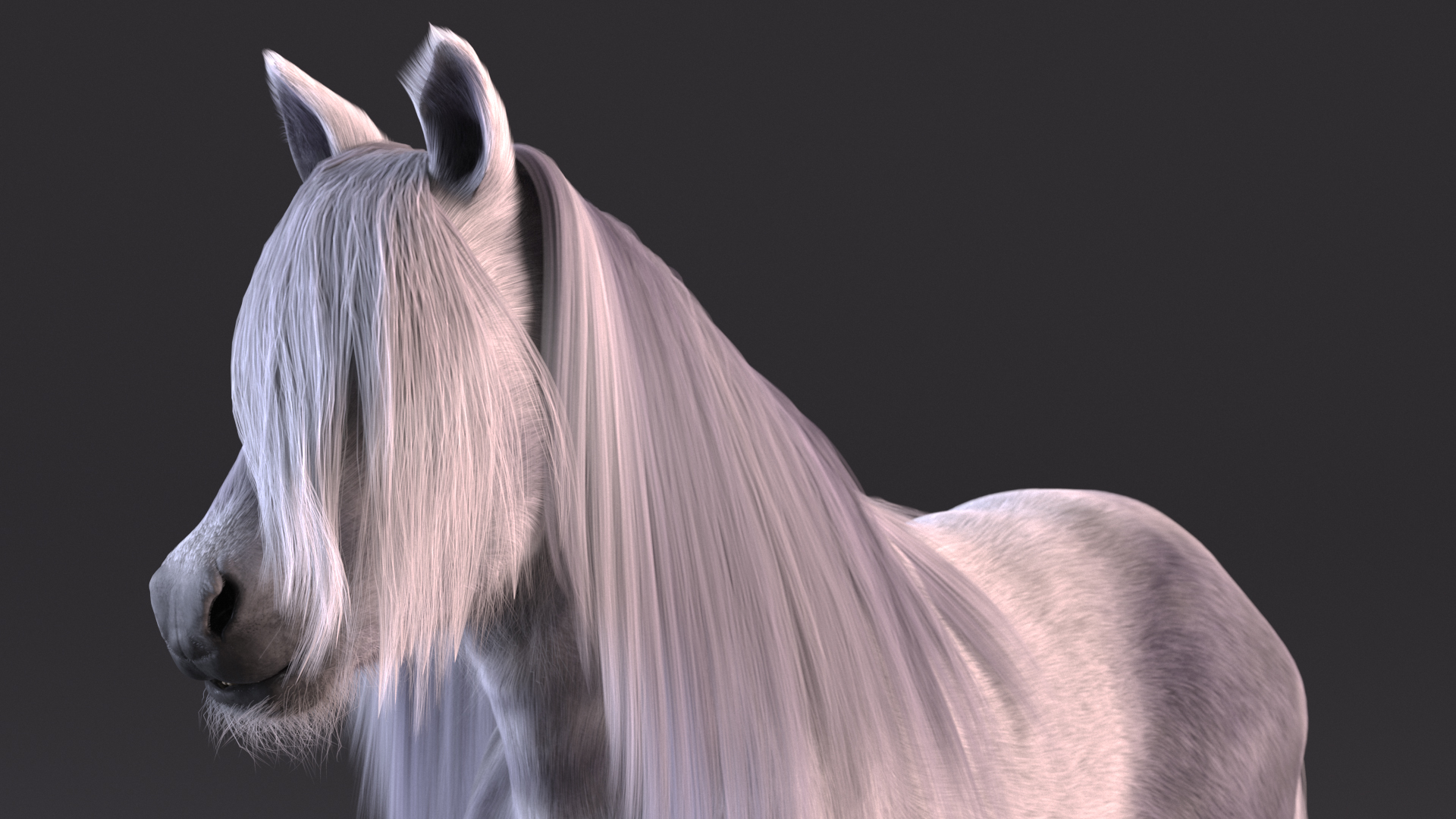 White Pony with Long Mane Fur 3D model